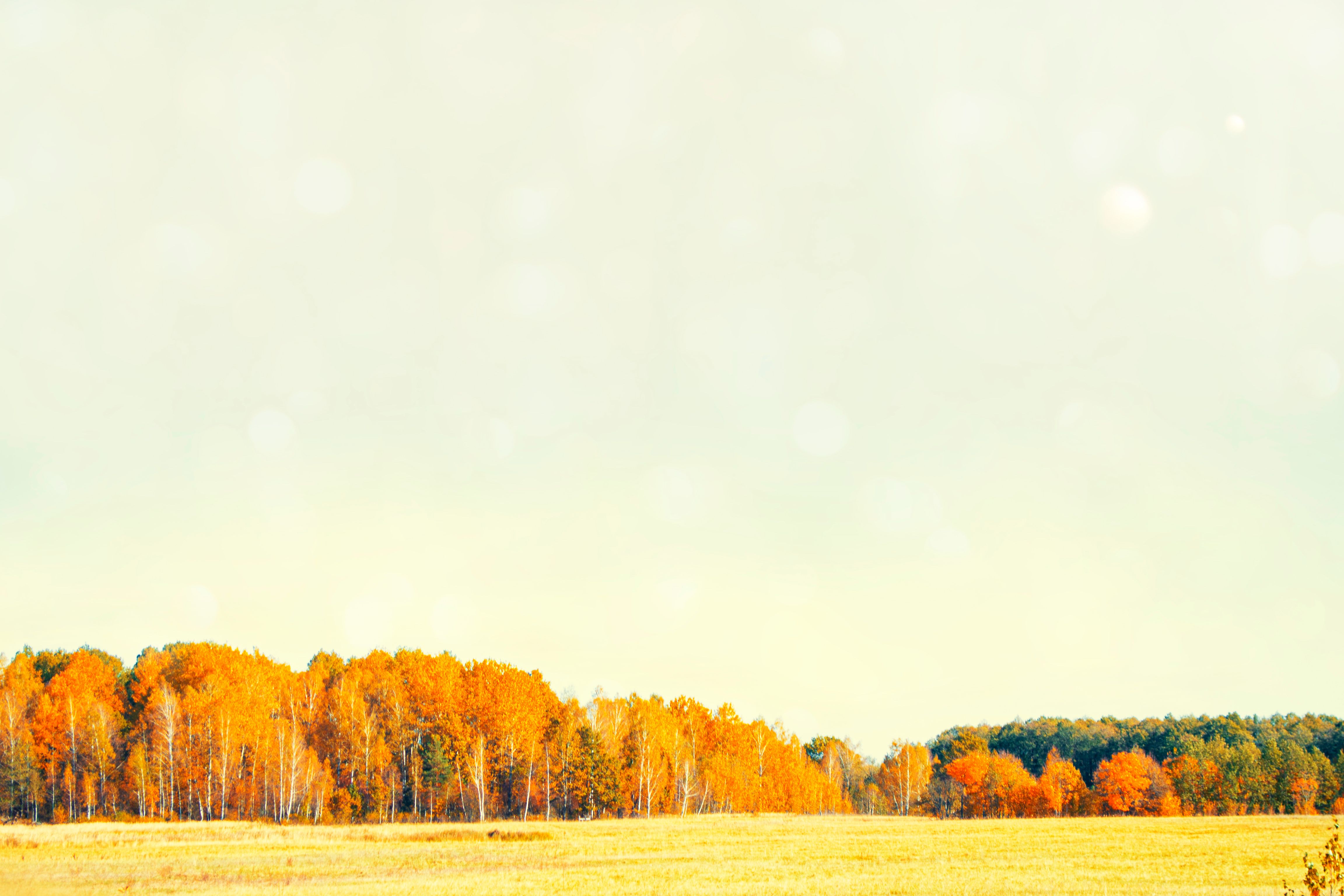 autumn landscape with bright colorful foliage. Indian summer.