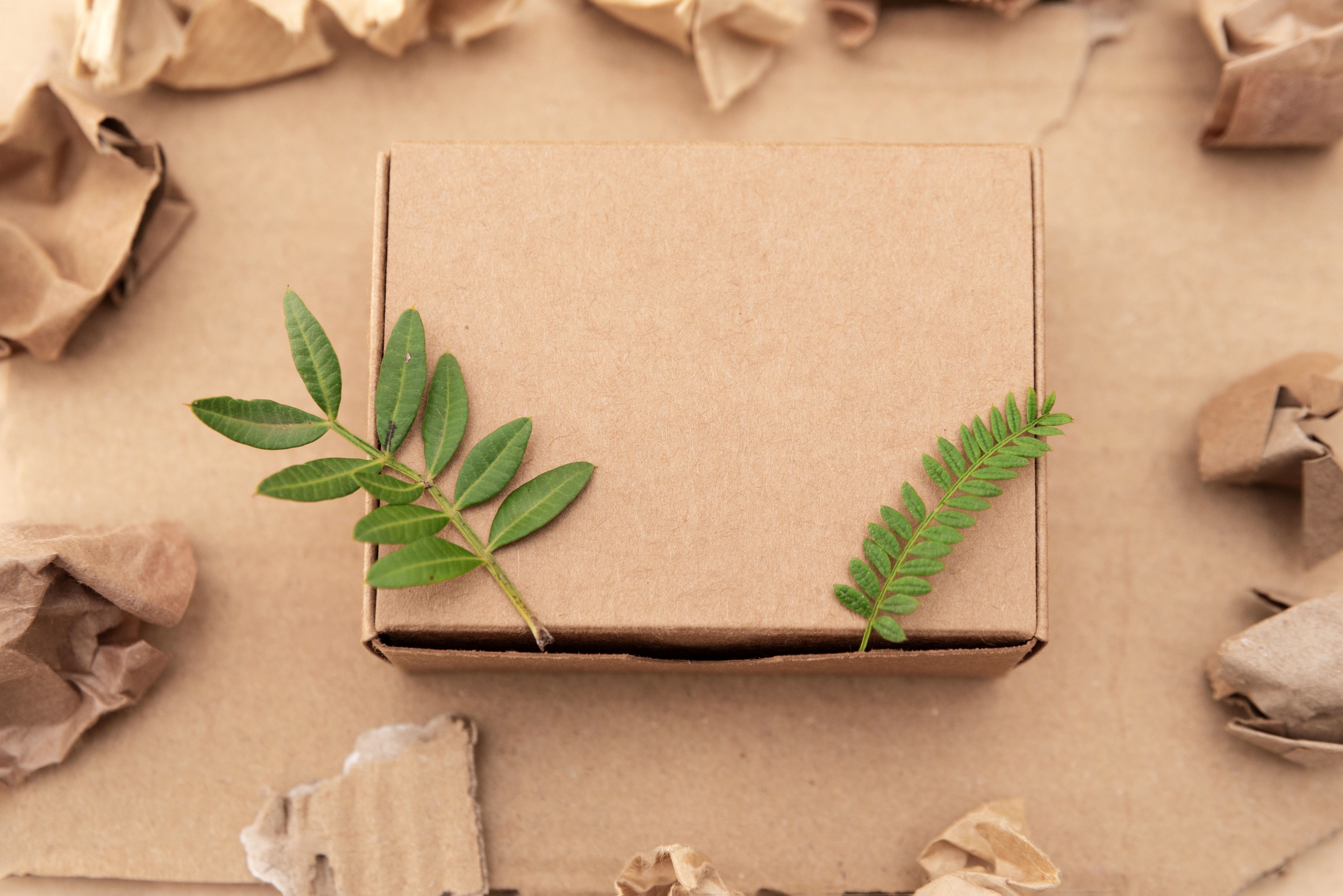 sustainable packaging