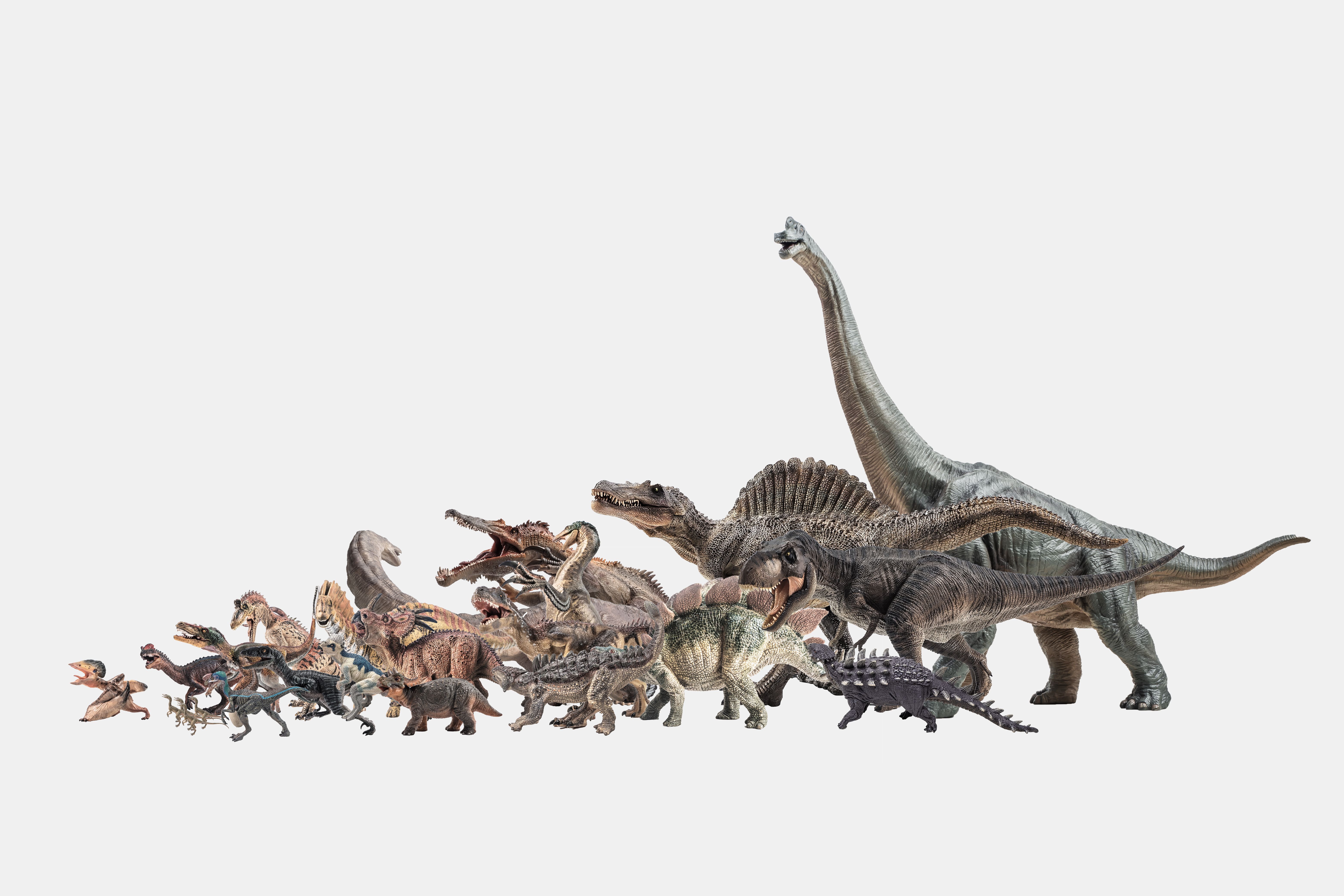 Dinosaurs on the white backgroud