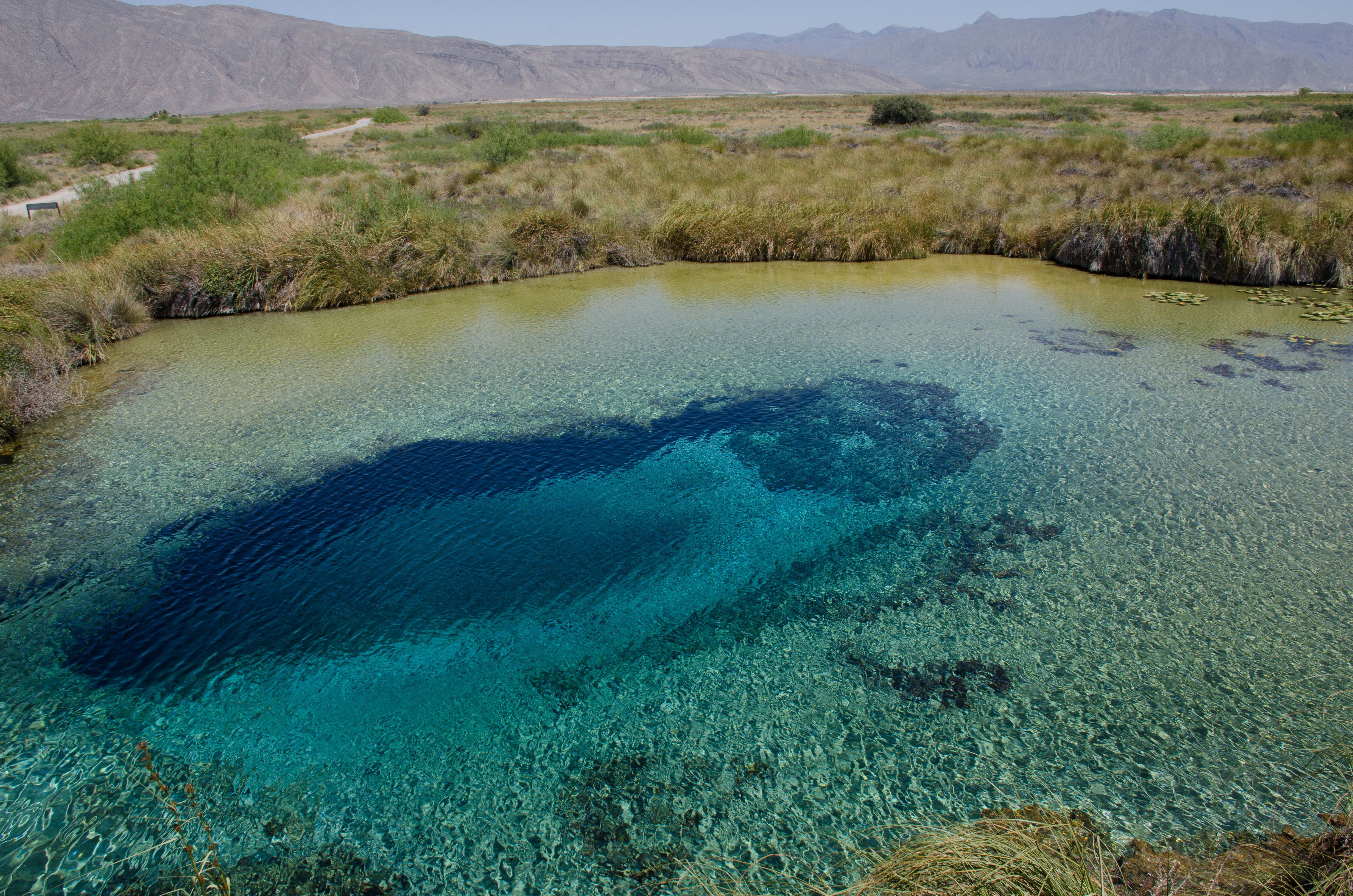 cuatro cienegas pozas