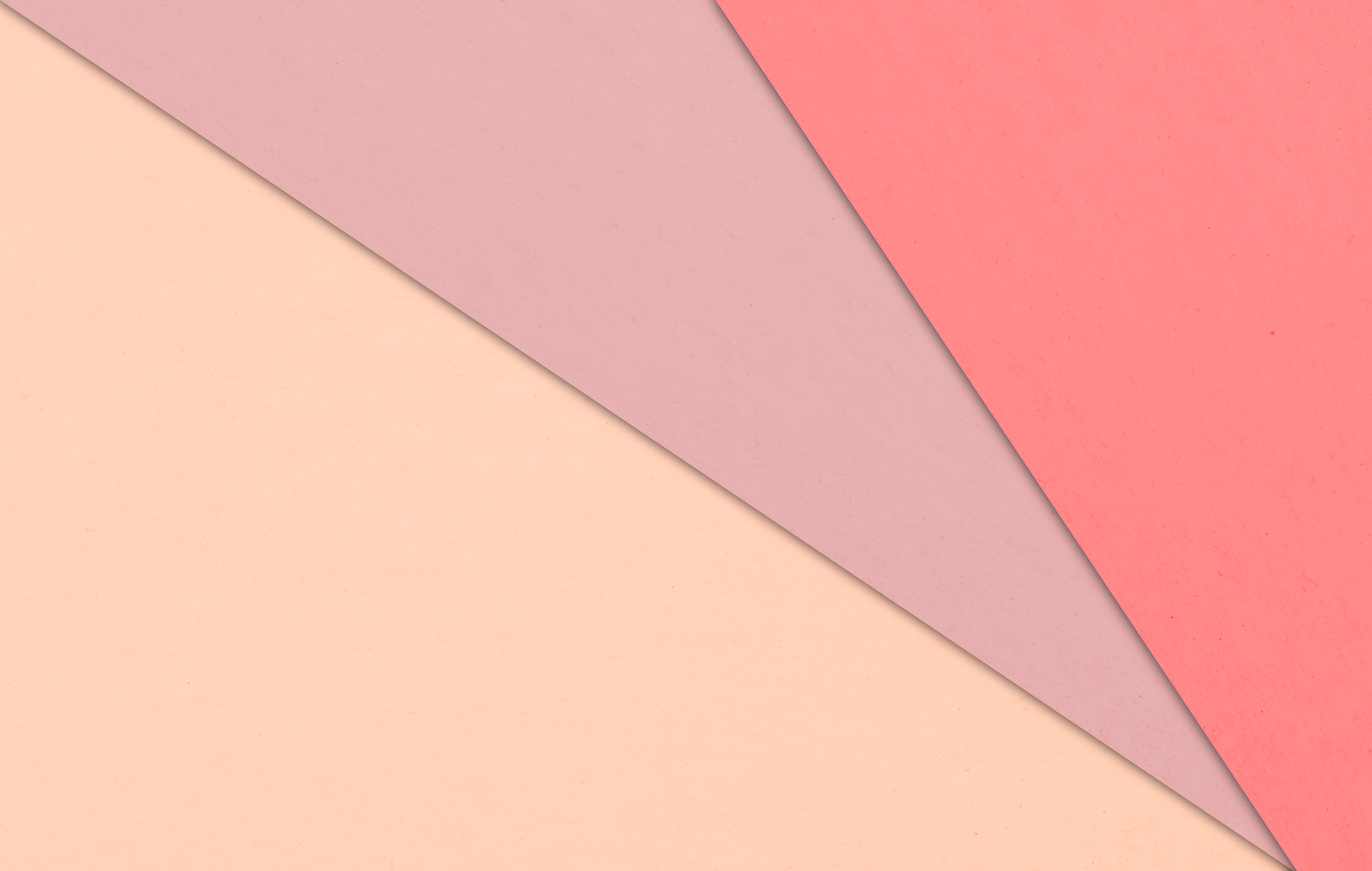 neutral color palette