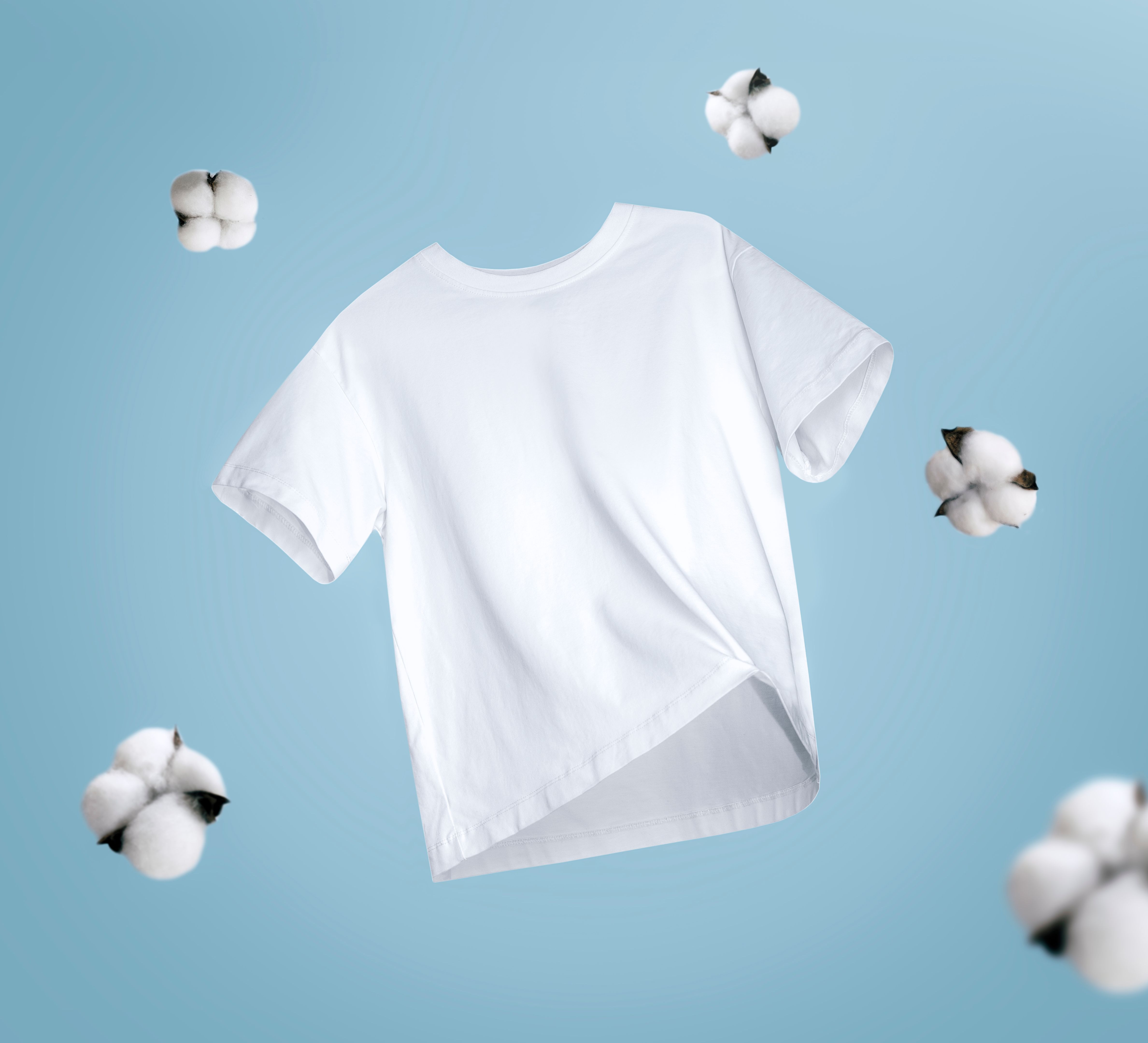 eco-friendly t-shirts