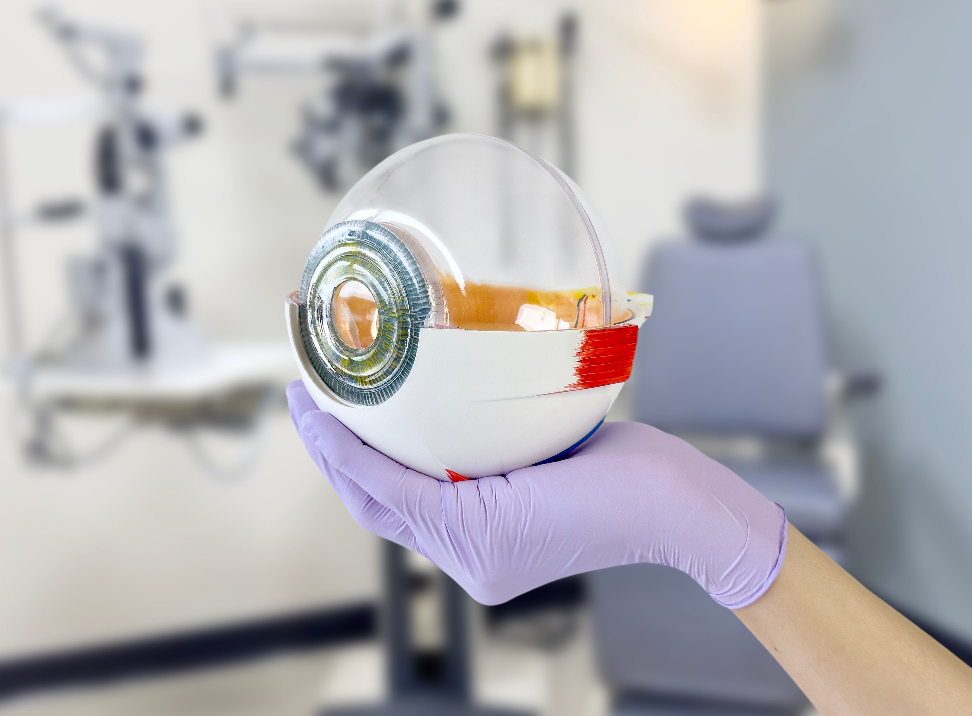 iridology demonstration