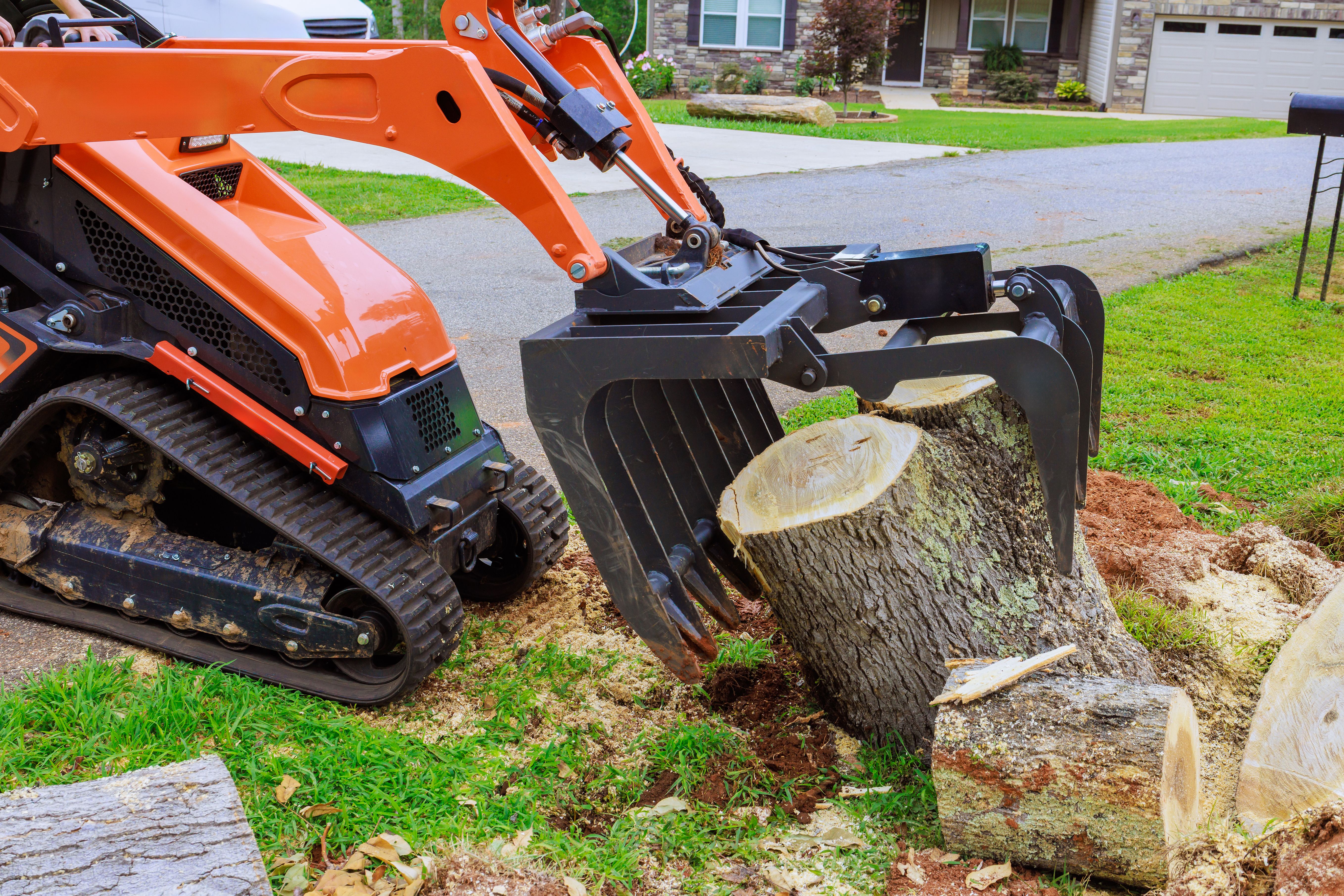 stump grinding