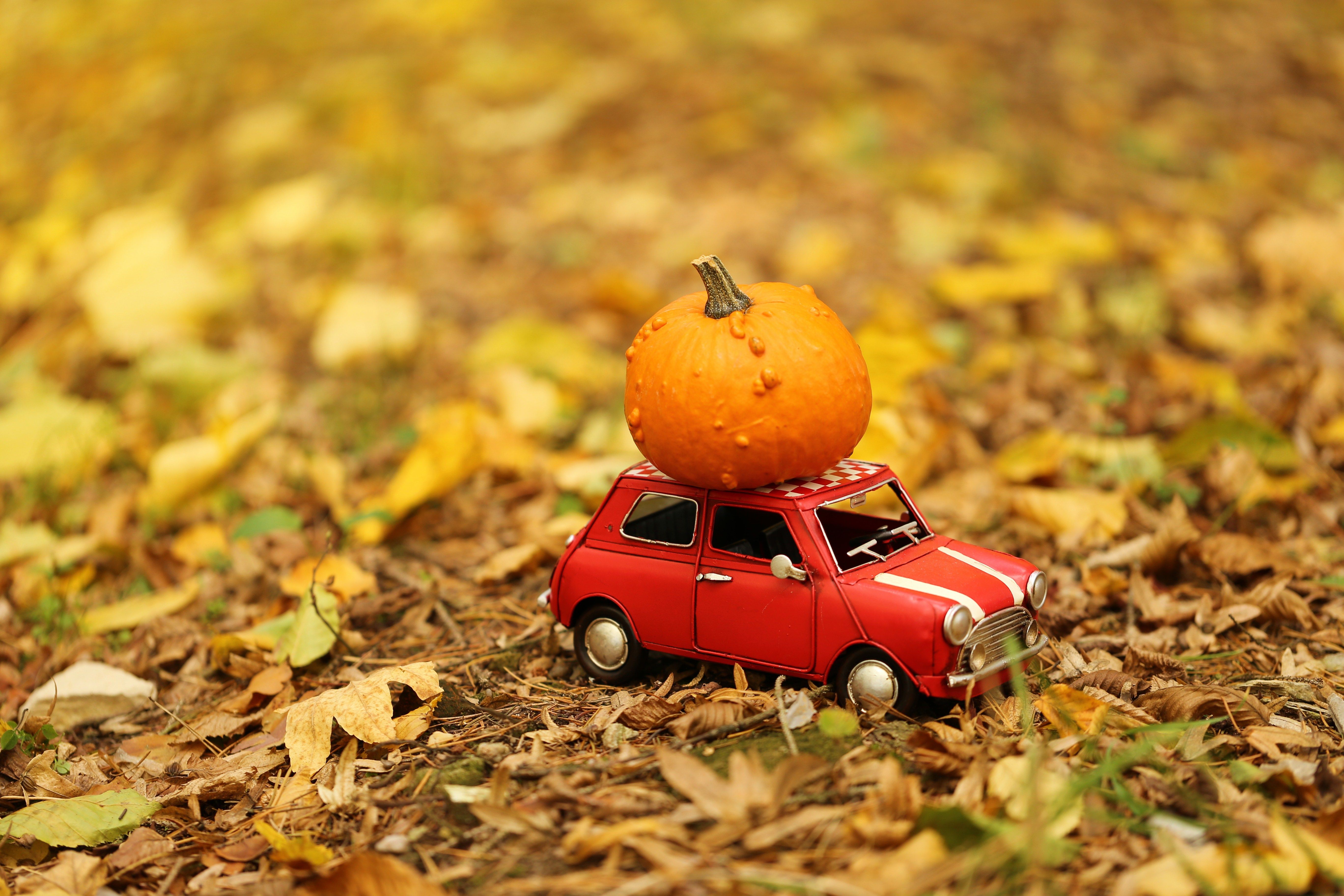 Autumn concept. Thanksgiving. Pumpkin by car.red decorative car carries an orange pumpkin. Pumpkin delivery. Fall season.