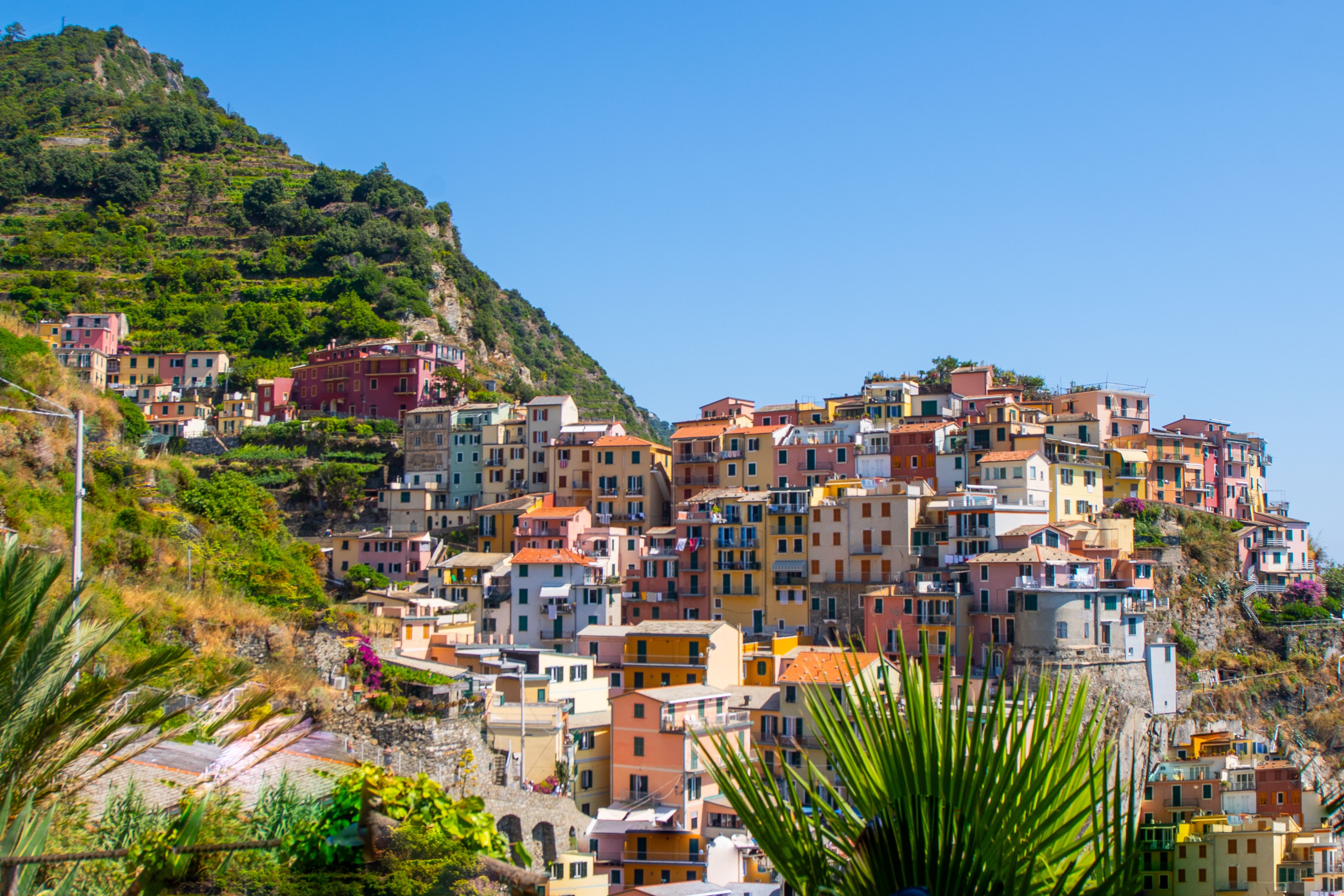 cinque terre excursion