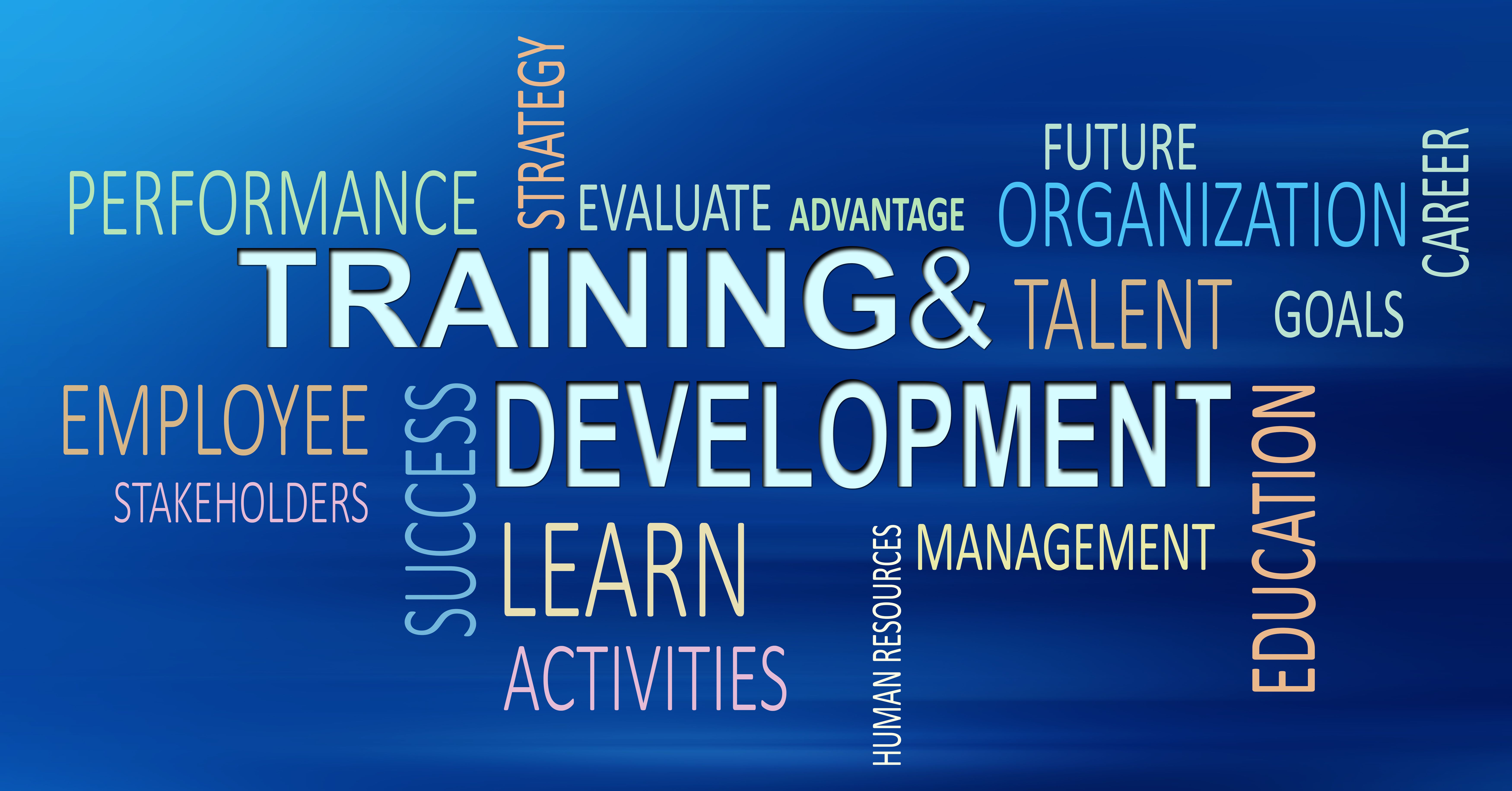 Empowering Your Career Through Mentorship and Volunteer Work