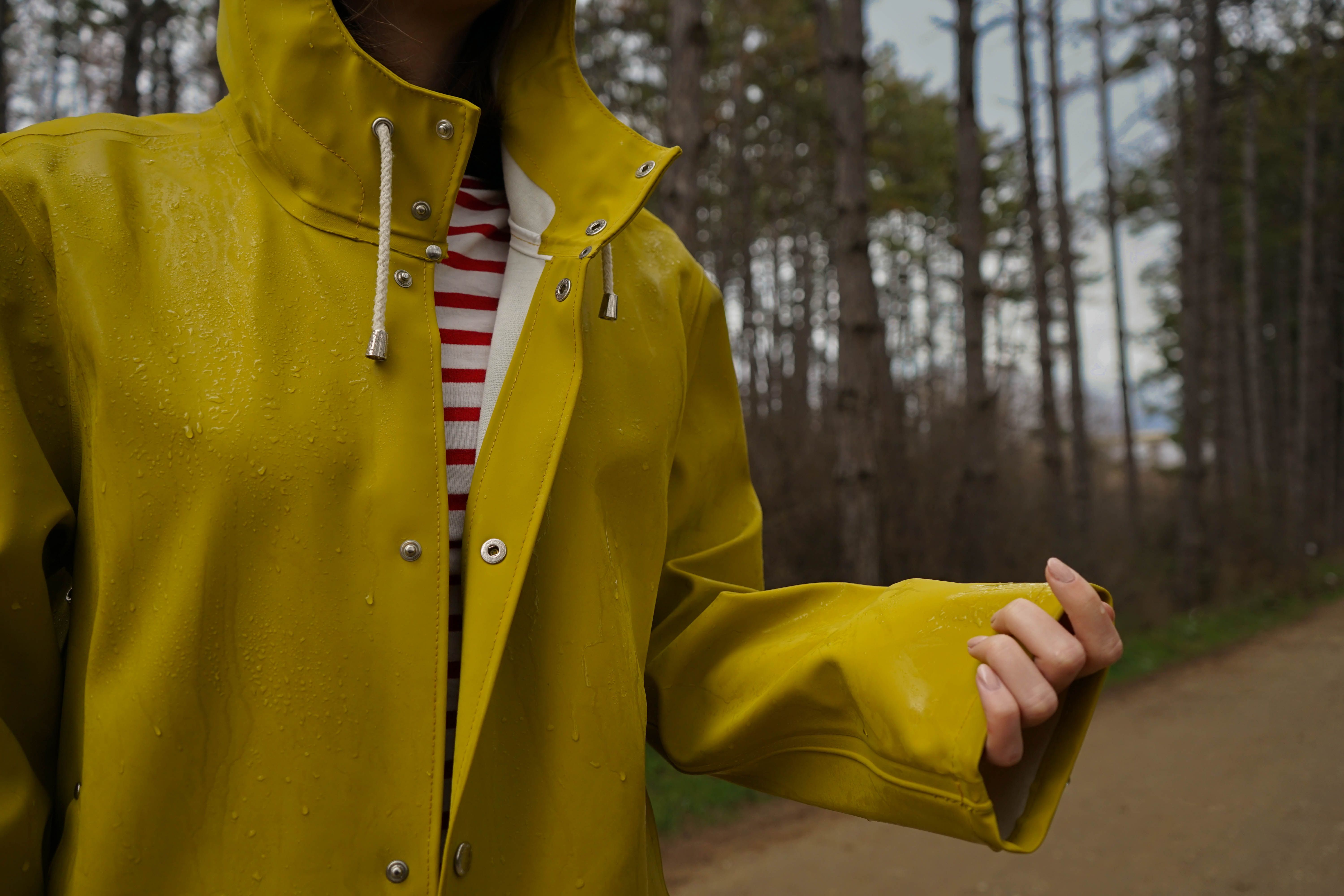 Rain-Kissed Forest Stroll