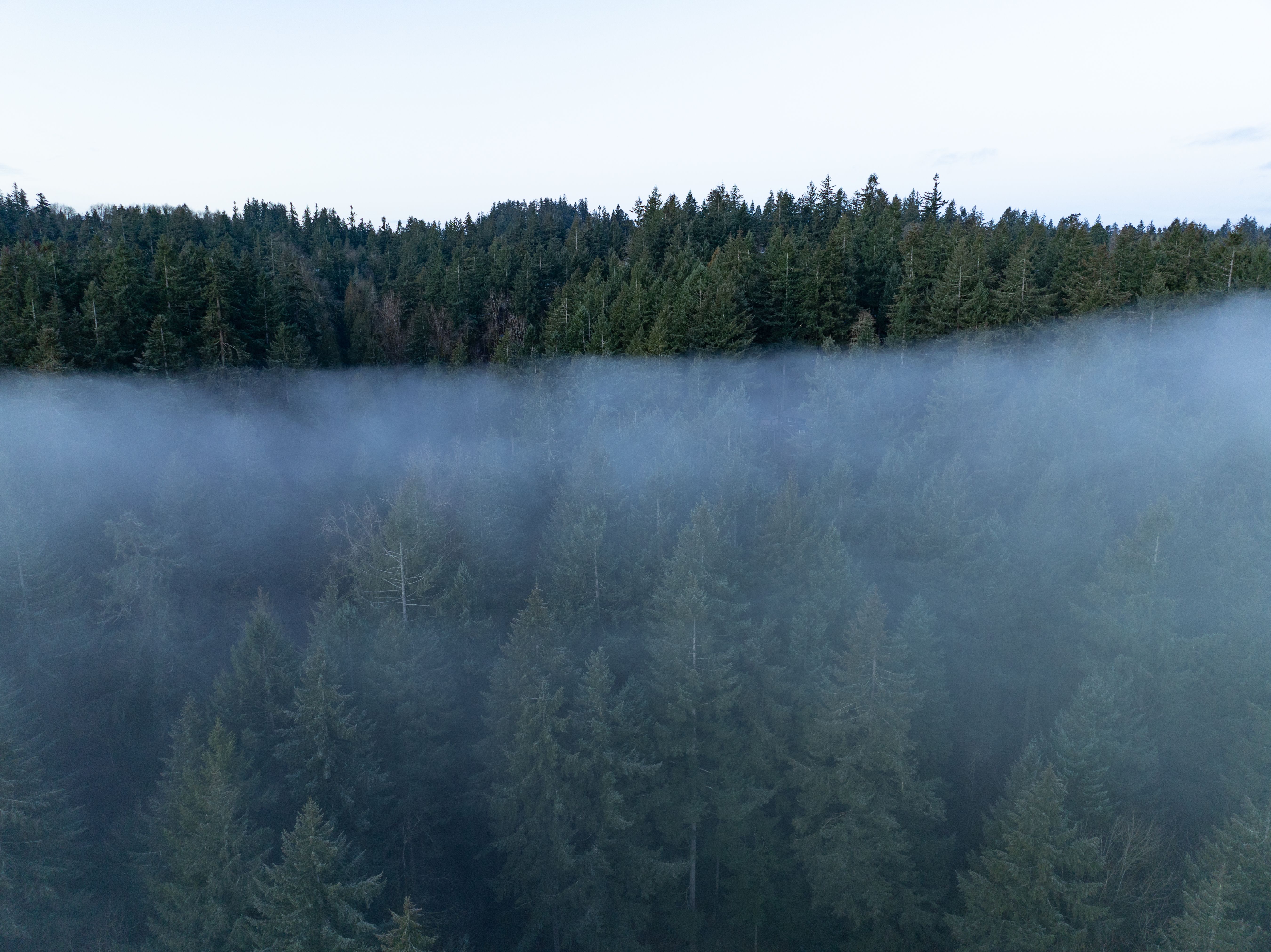 willamette valley weather