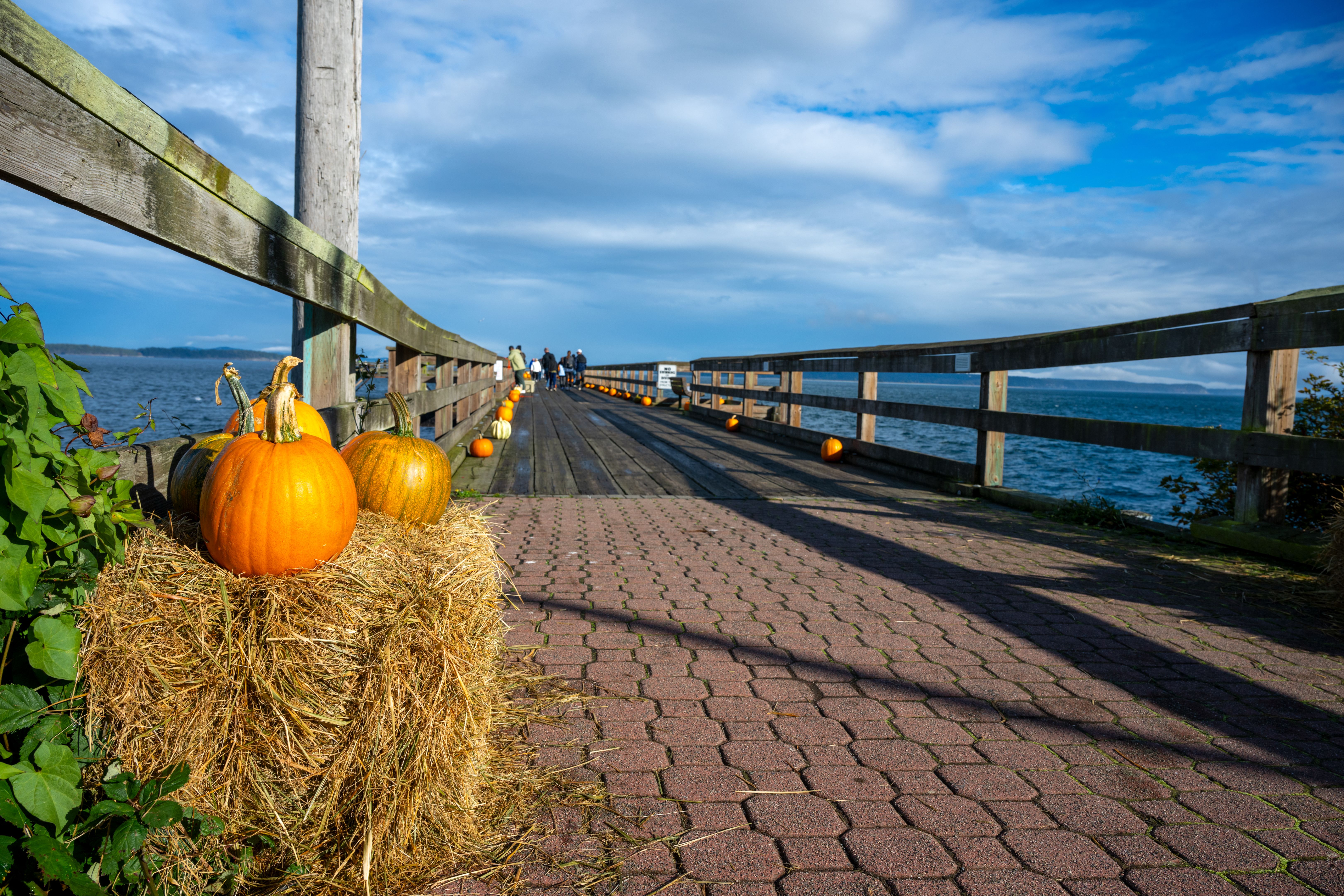vancouver island festival