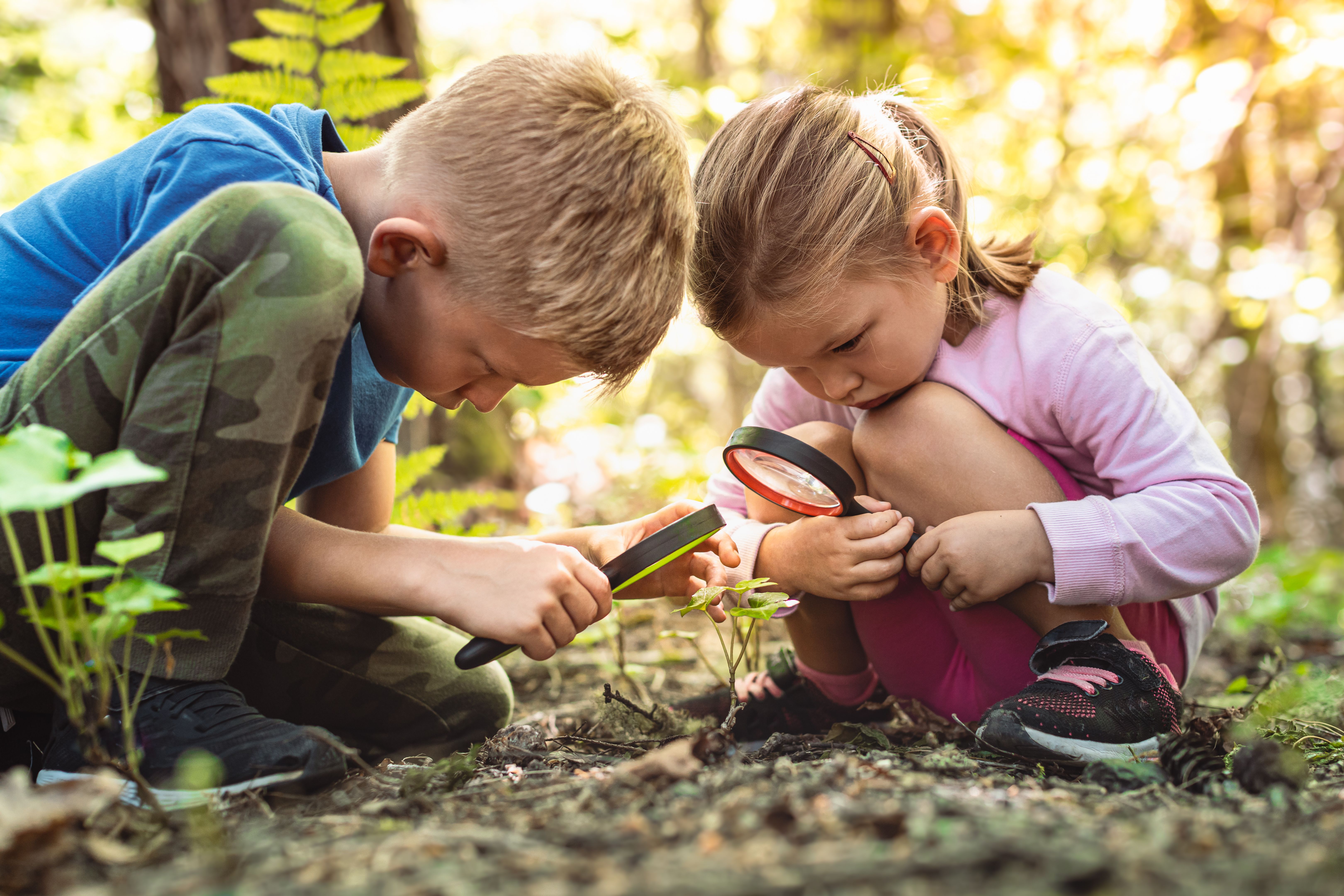 children exploring science