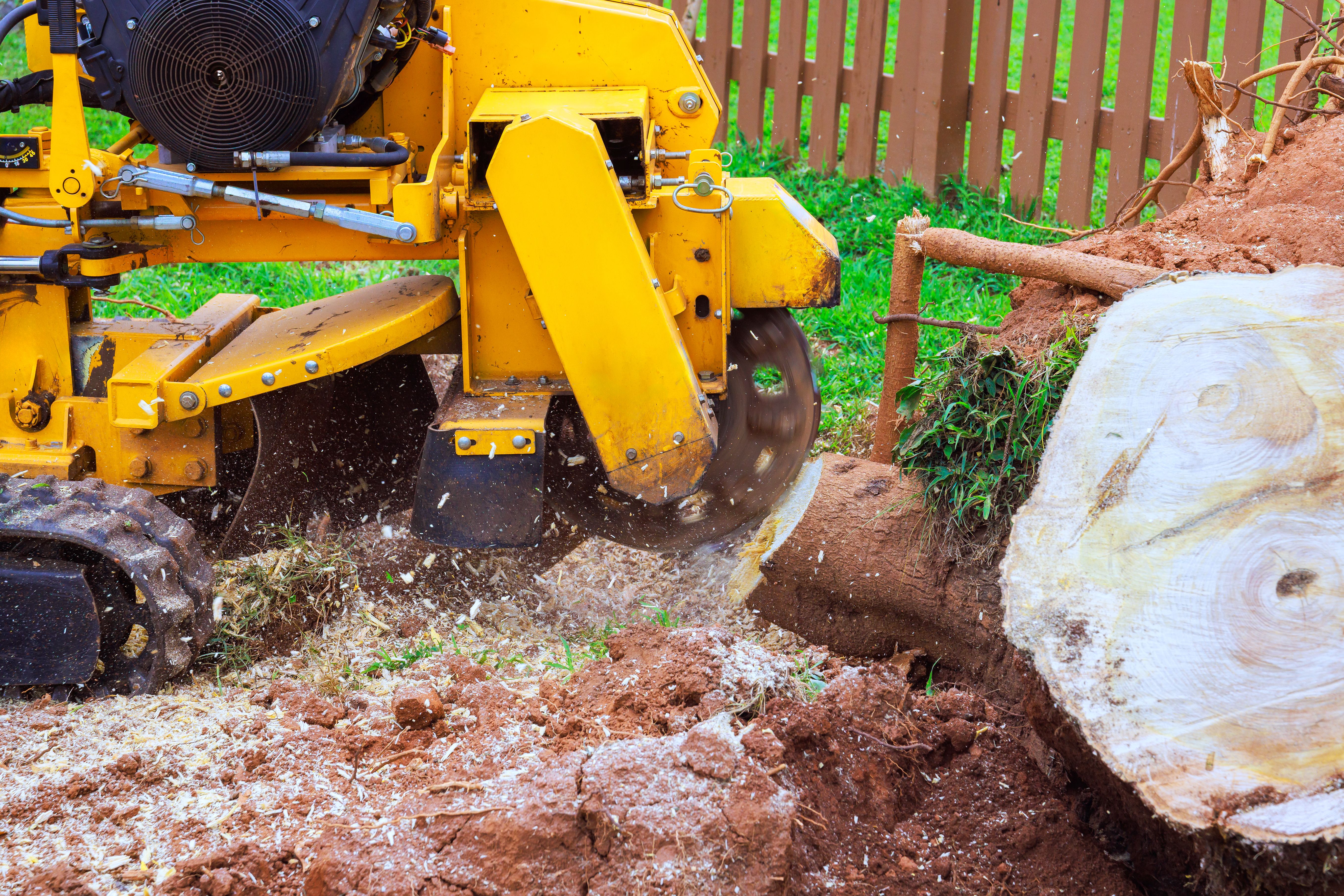 stump grinding