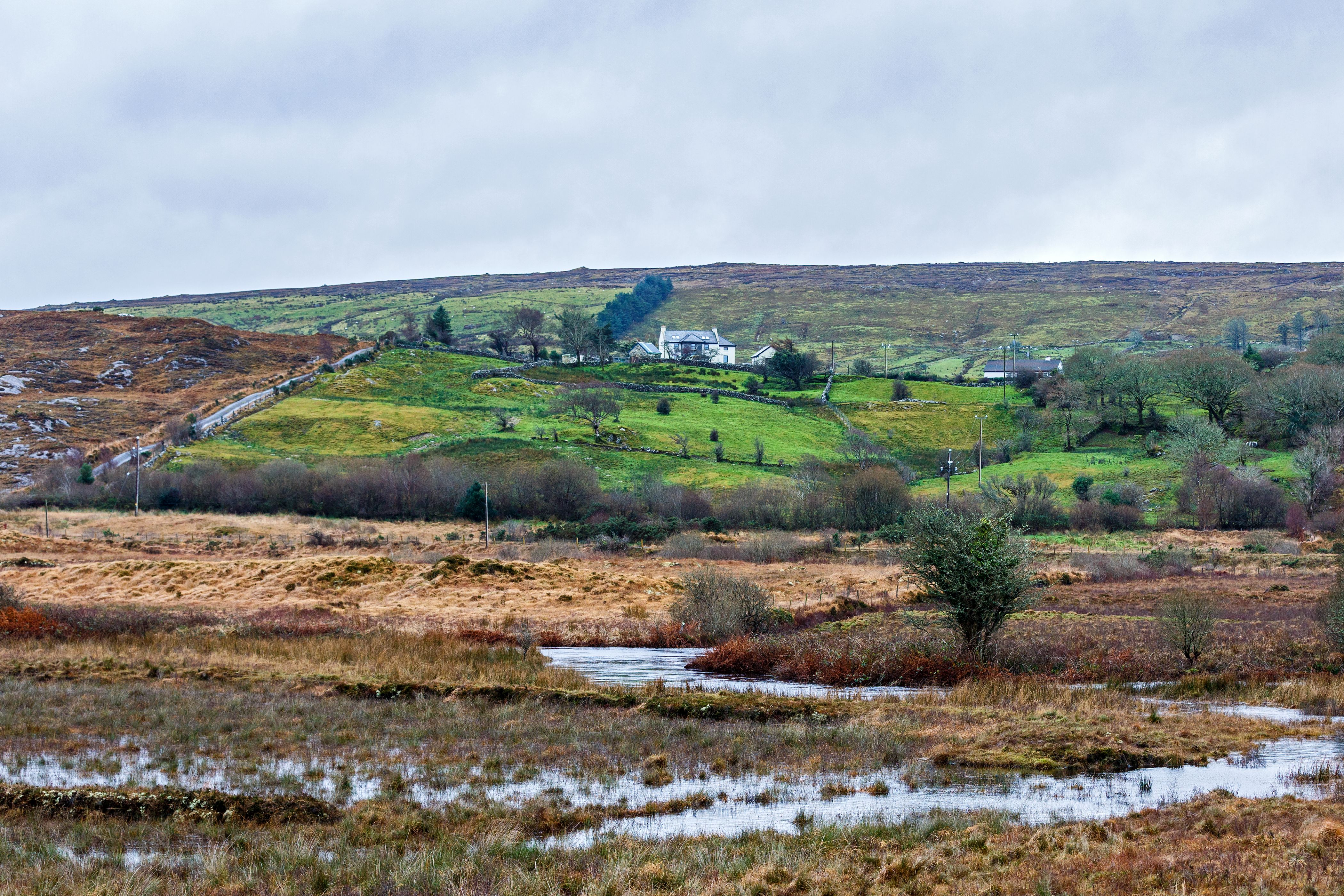 Flooded irish meadow