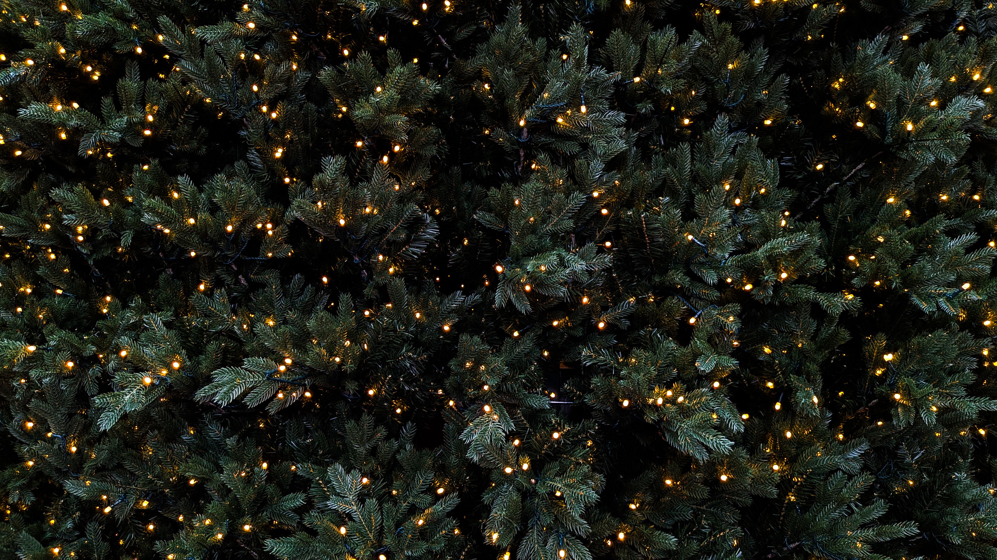 christmas outdoor decoration