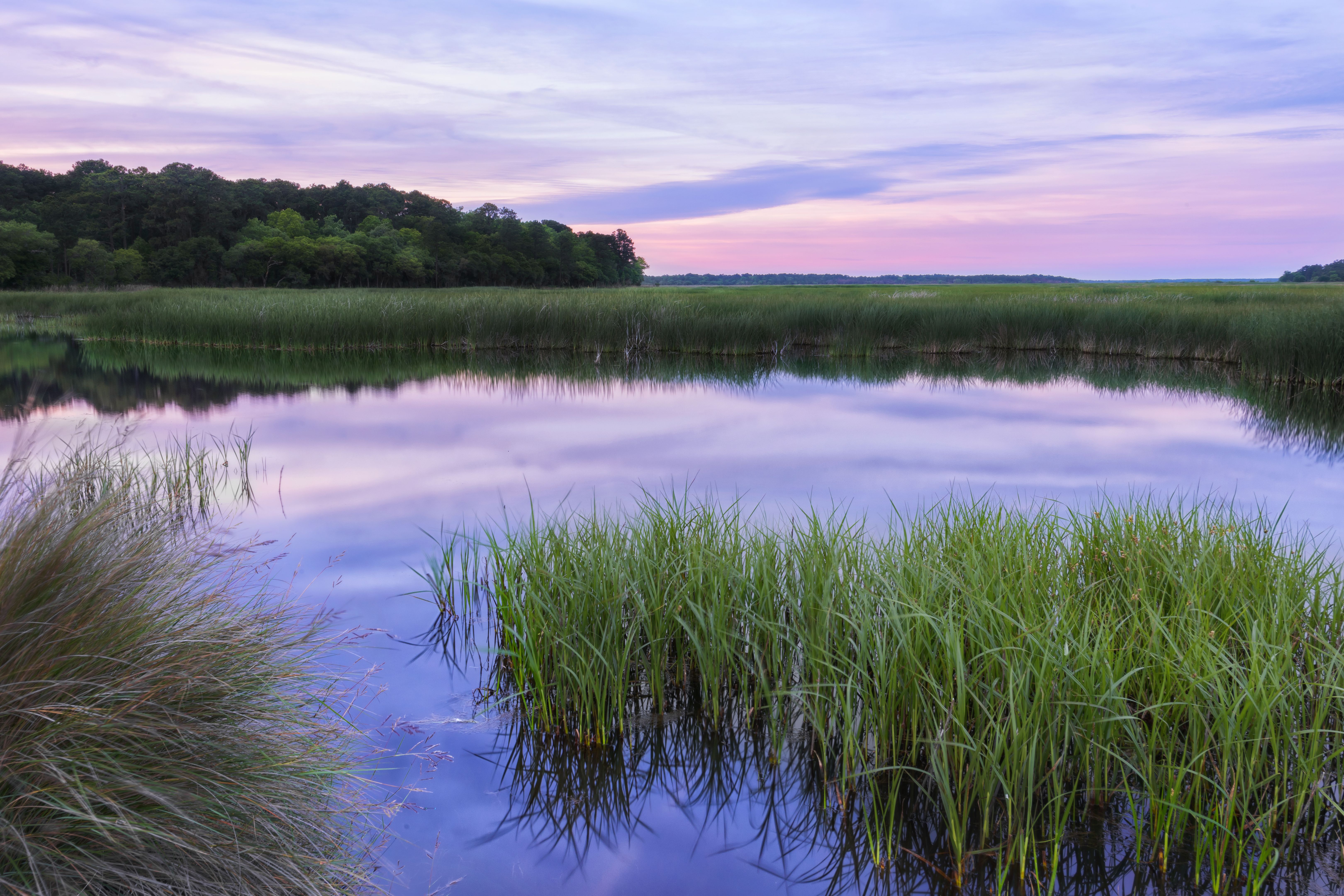lowcountry landscape