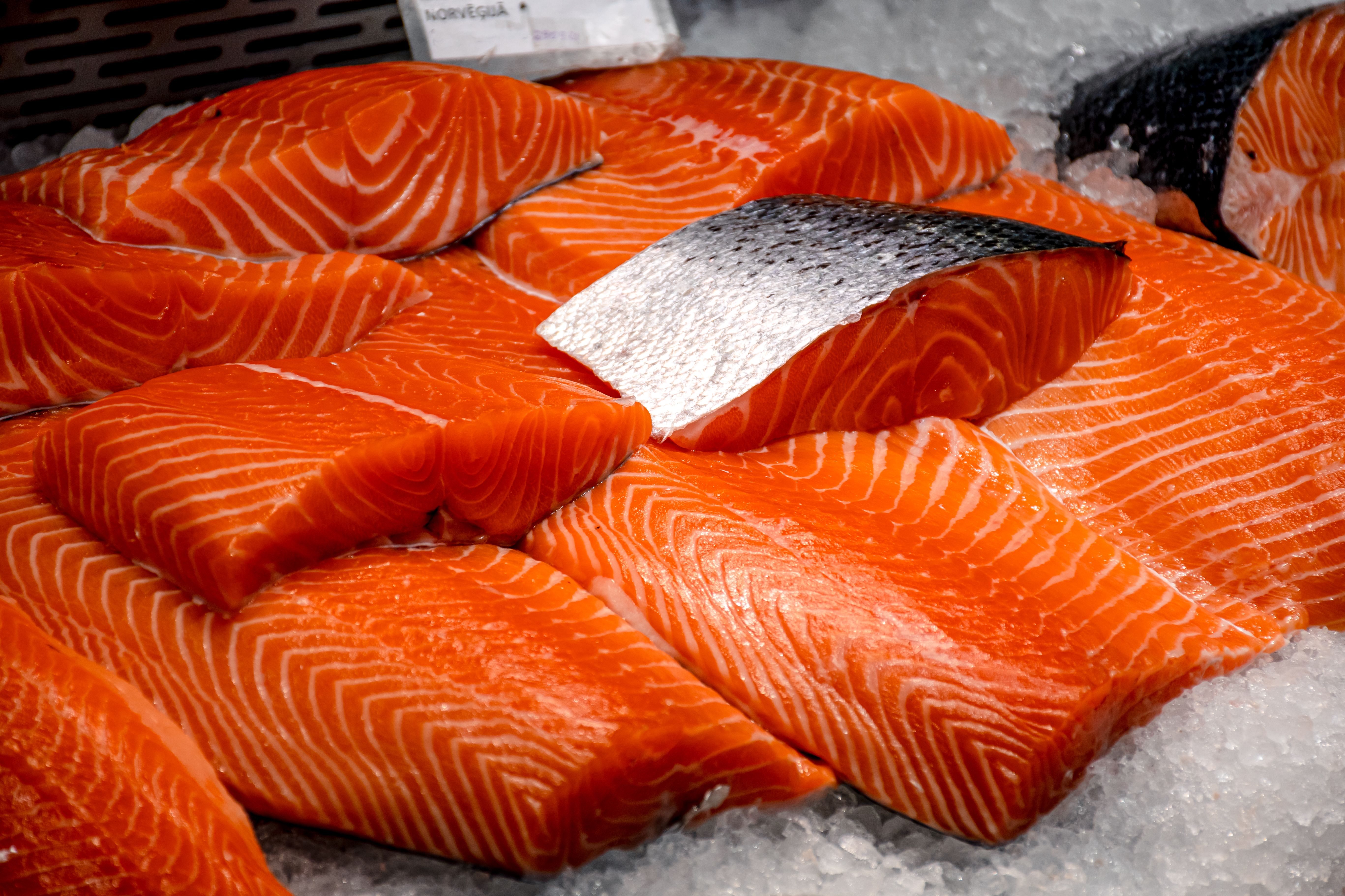 norwegian salmon