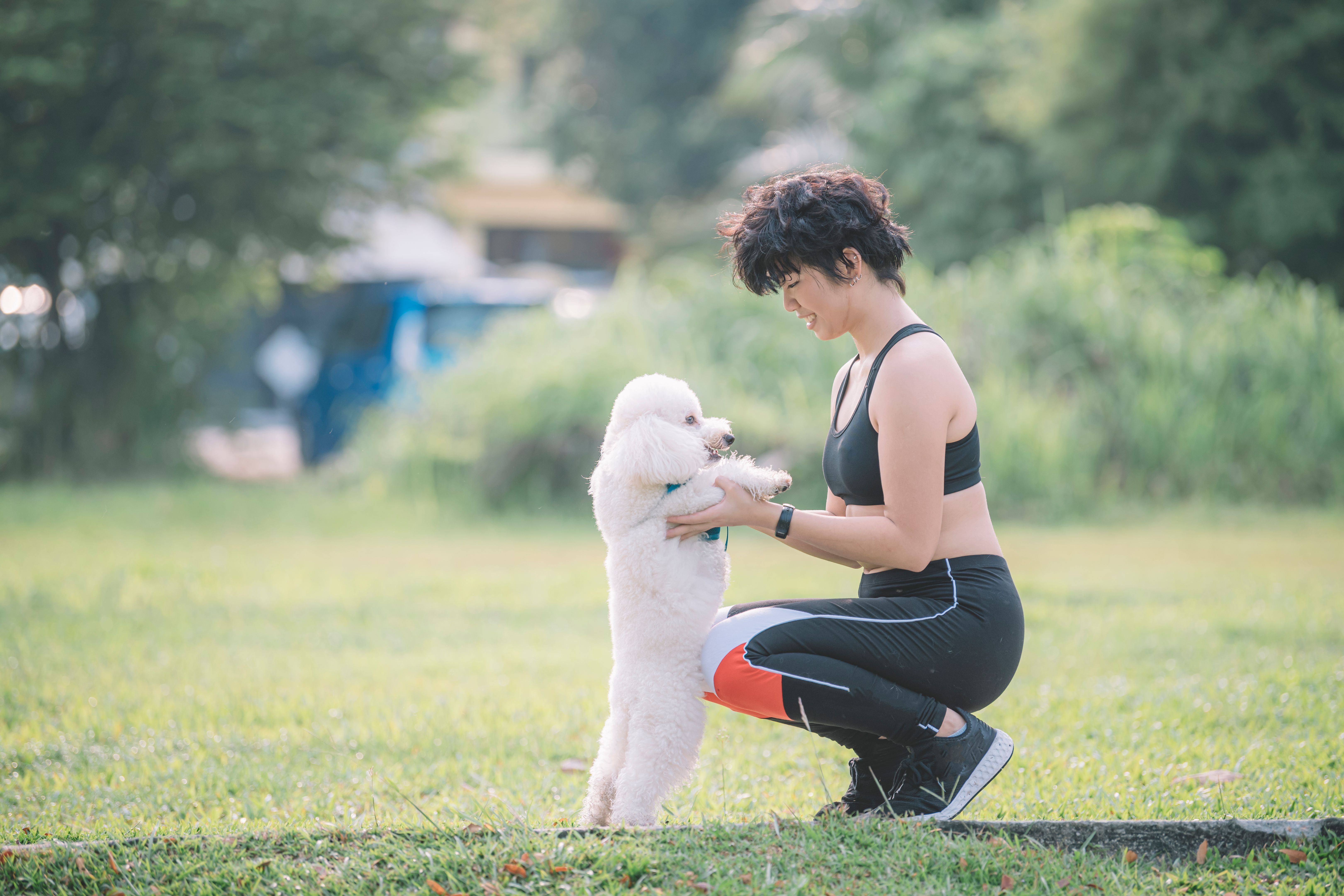 dog-training-session