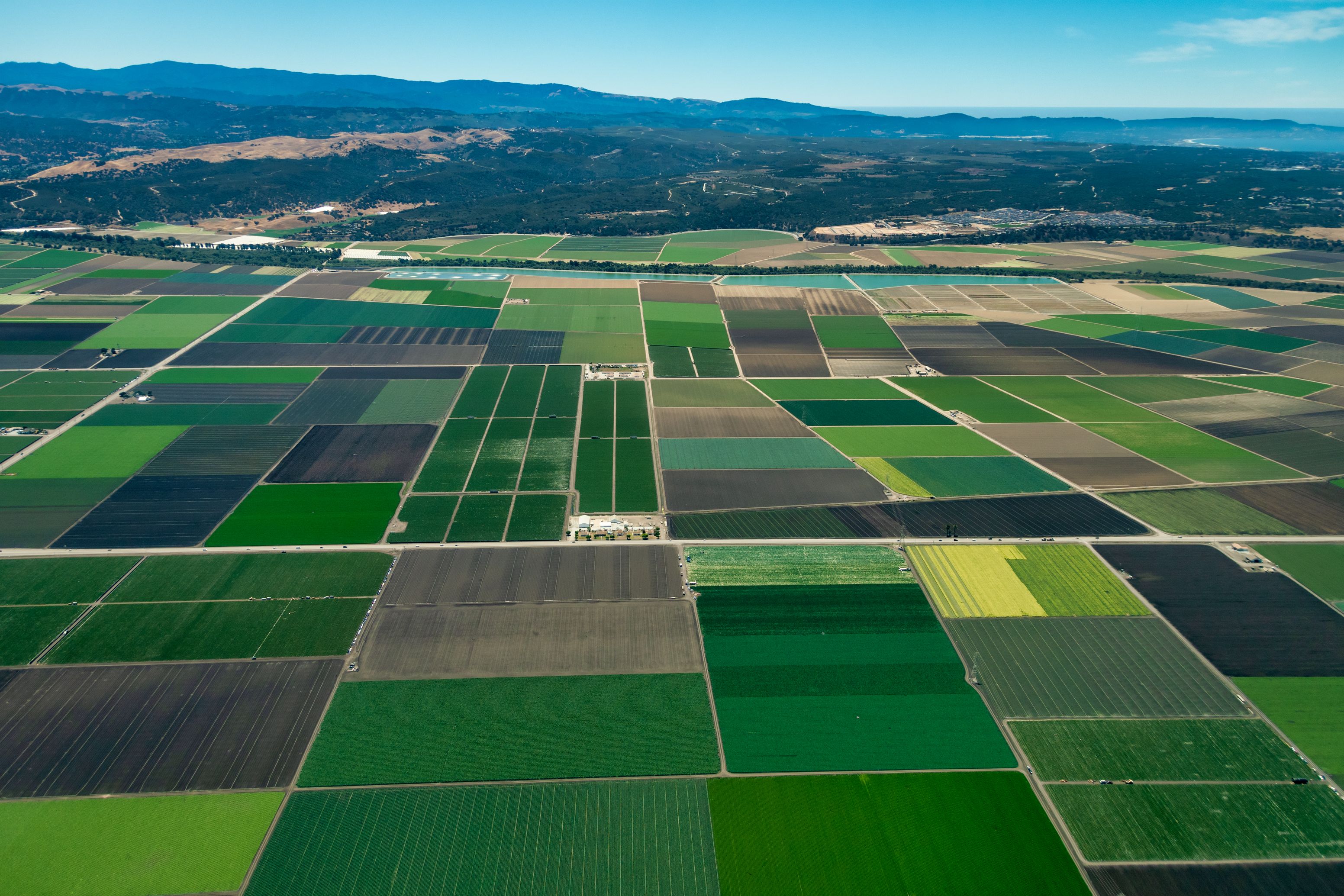california farmland