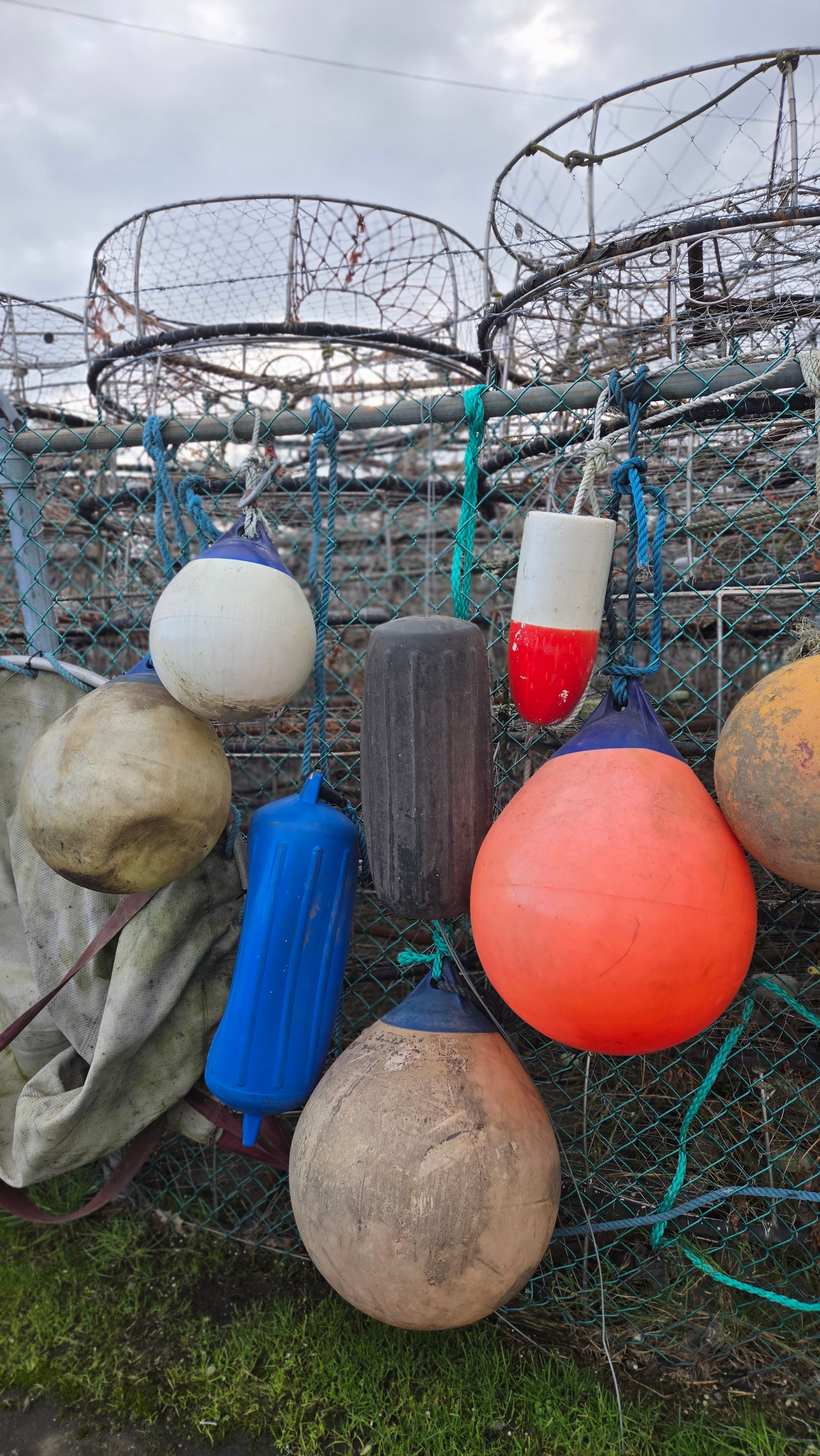 wildlife safety equipment