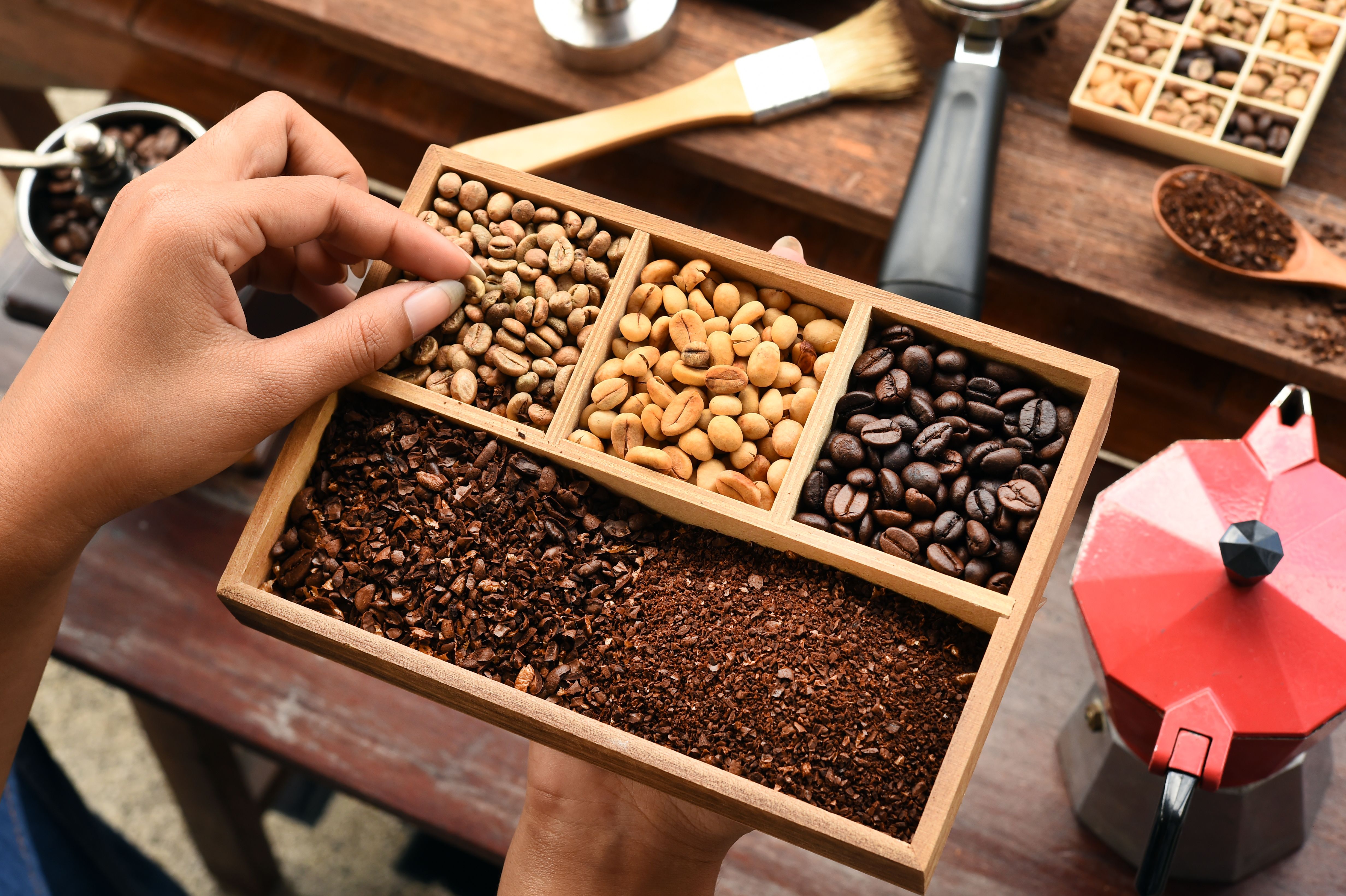 coffee roasting kit