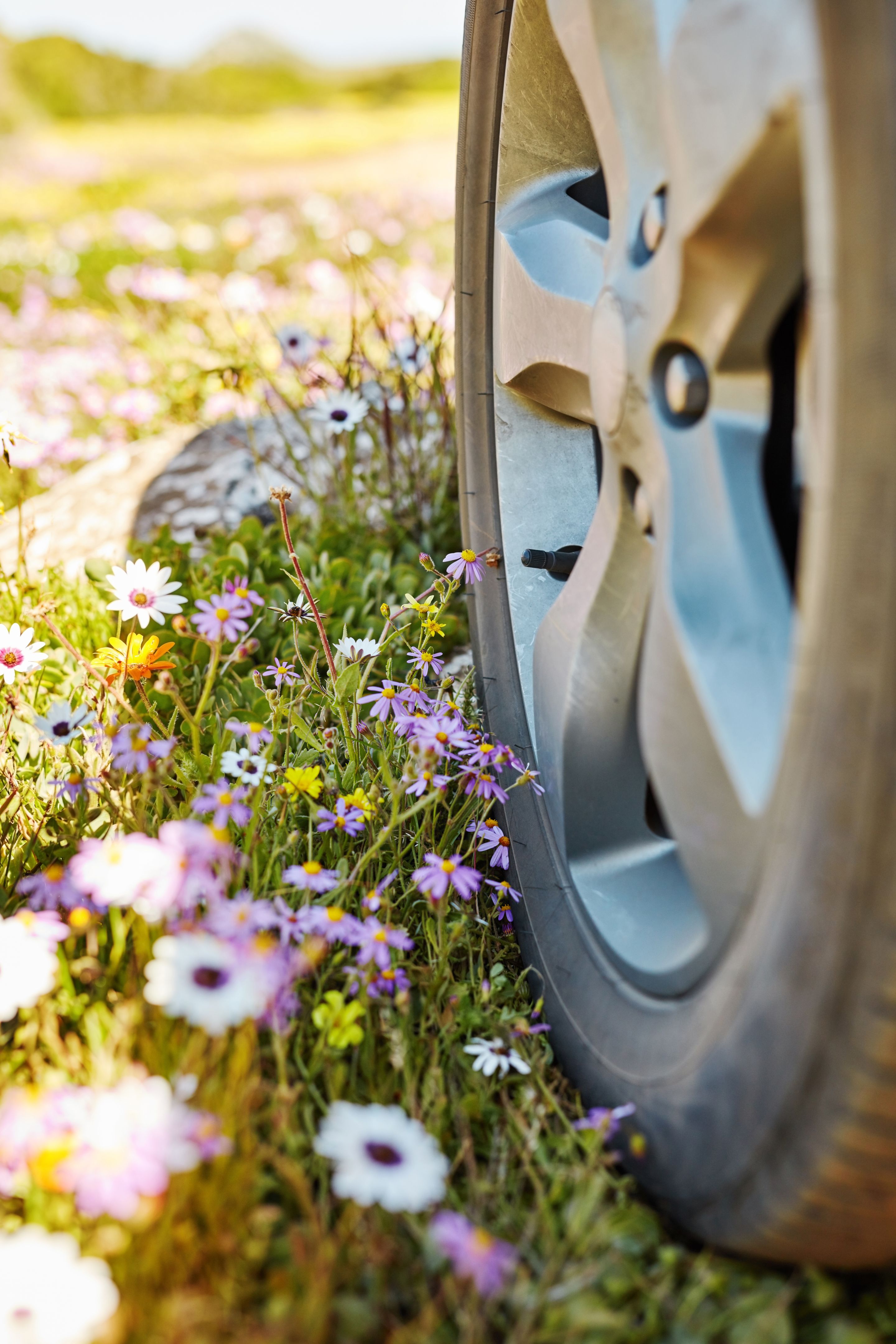 spring car inspection
