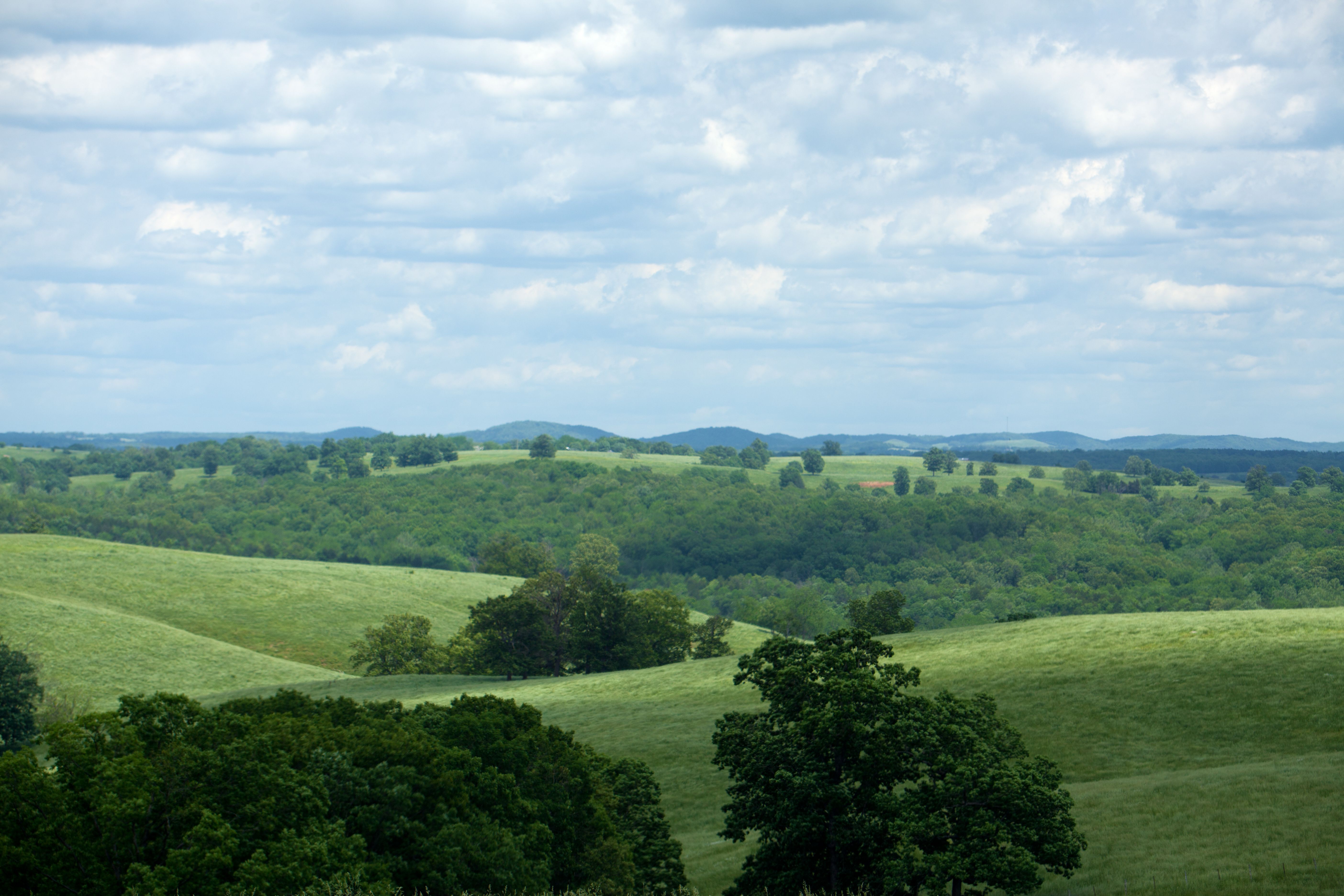 clay county landscape
