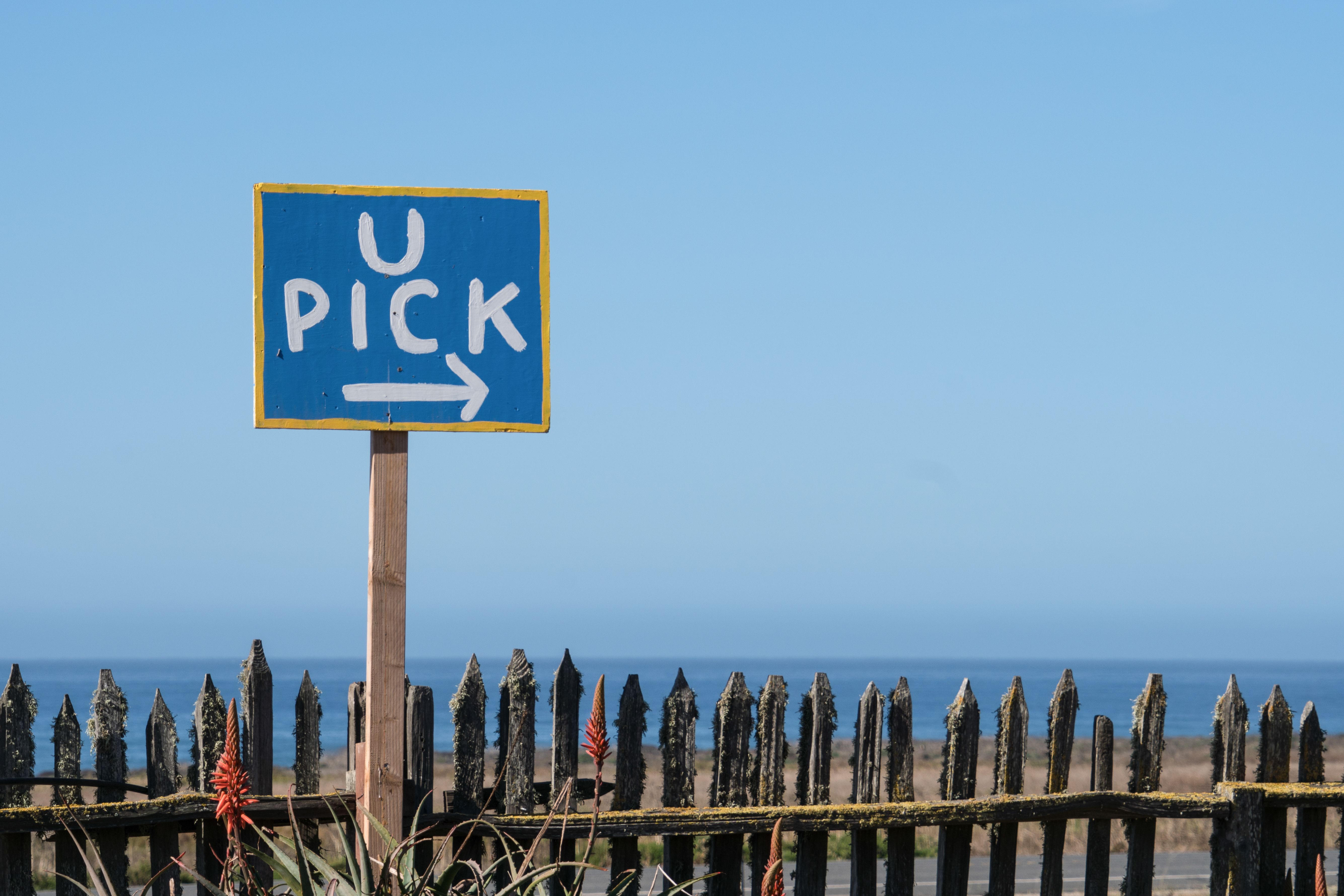 u-pick farm