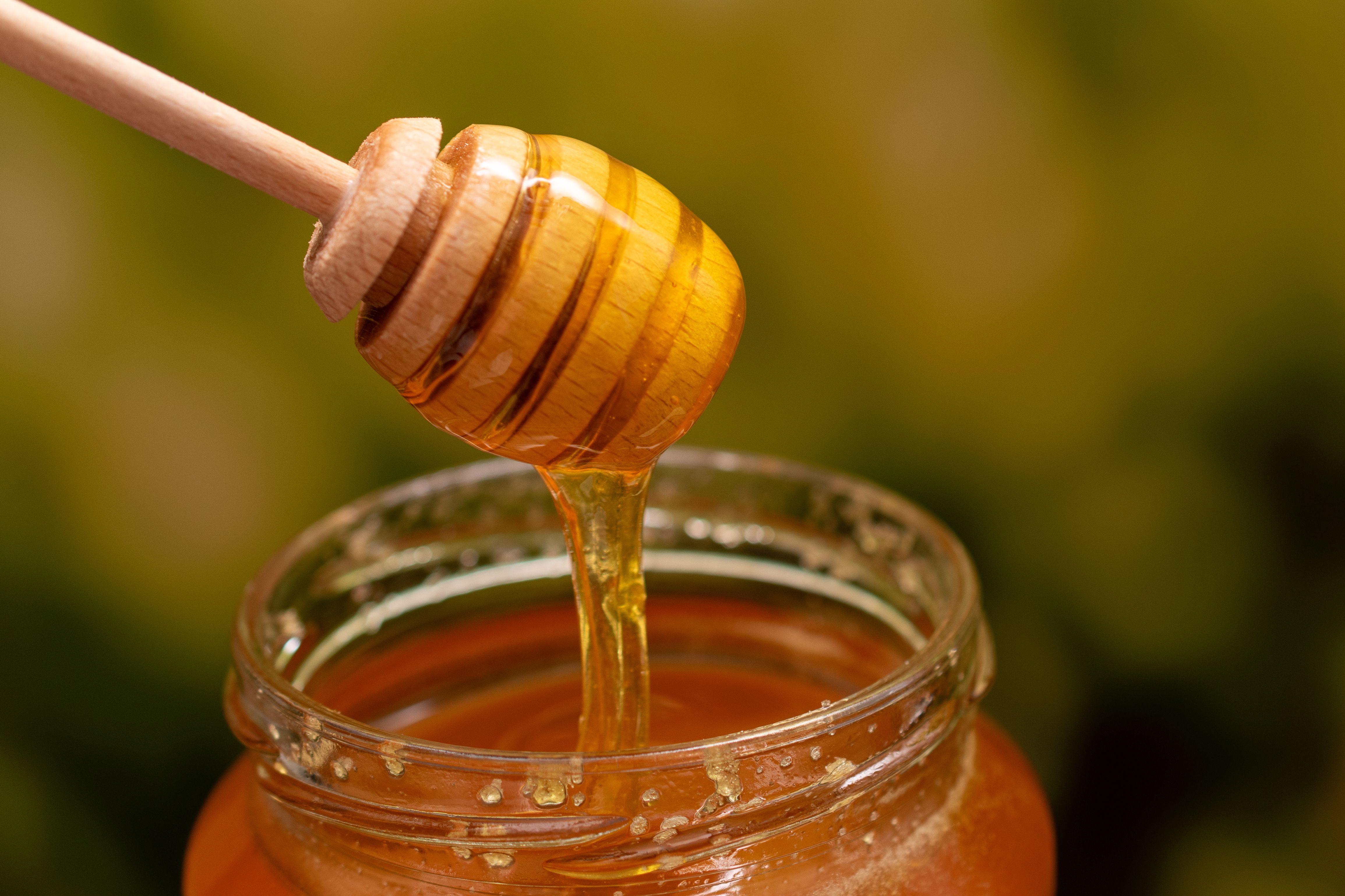 honey jars