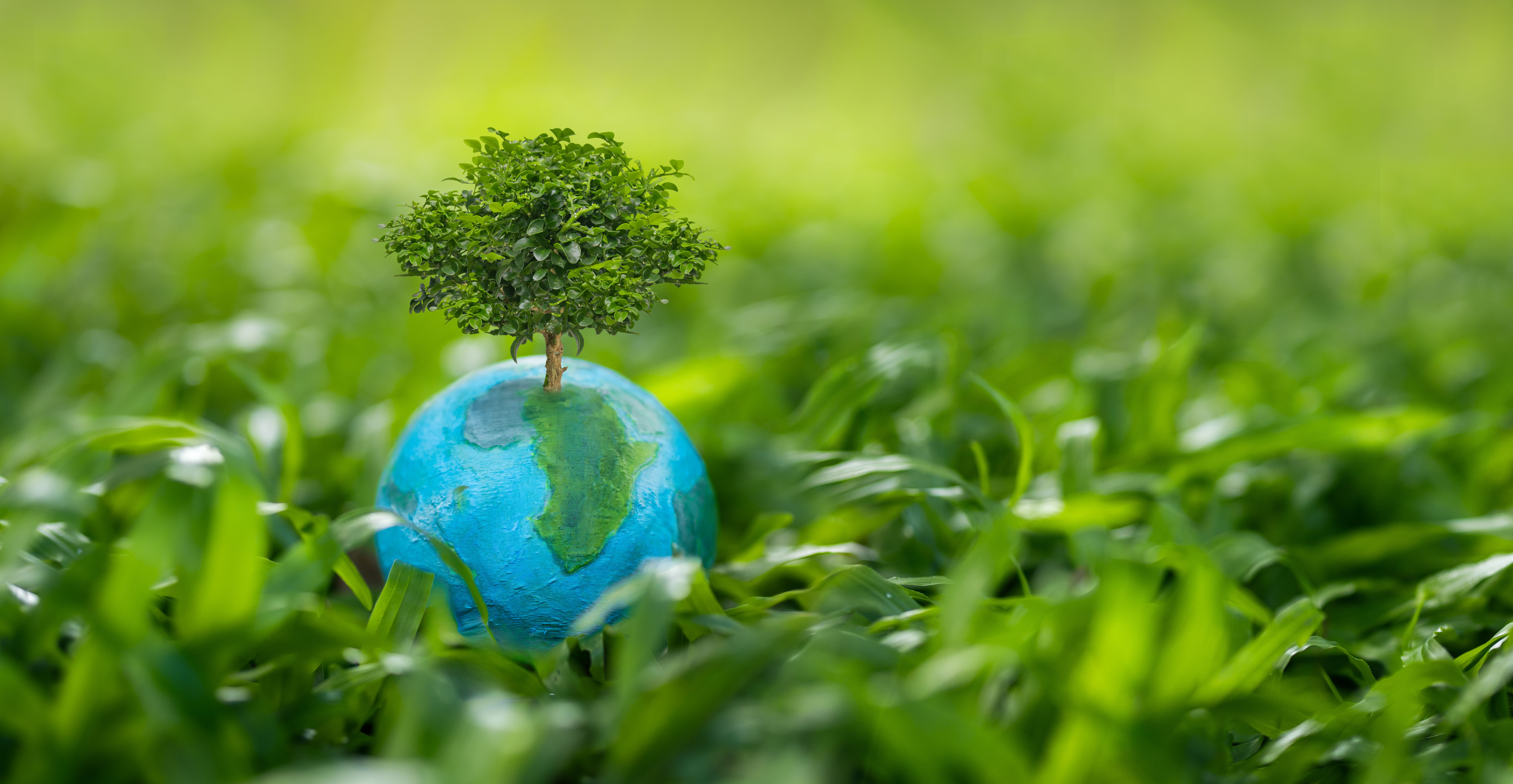 global conservation efforts