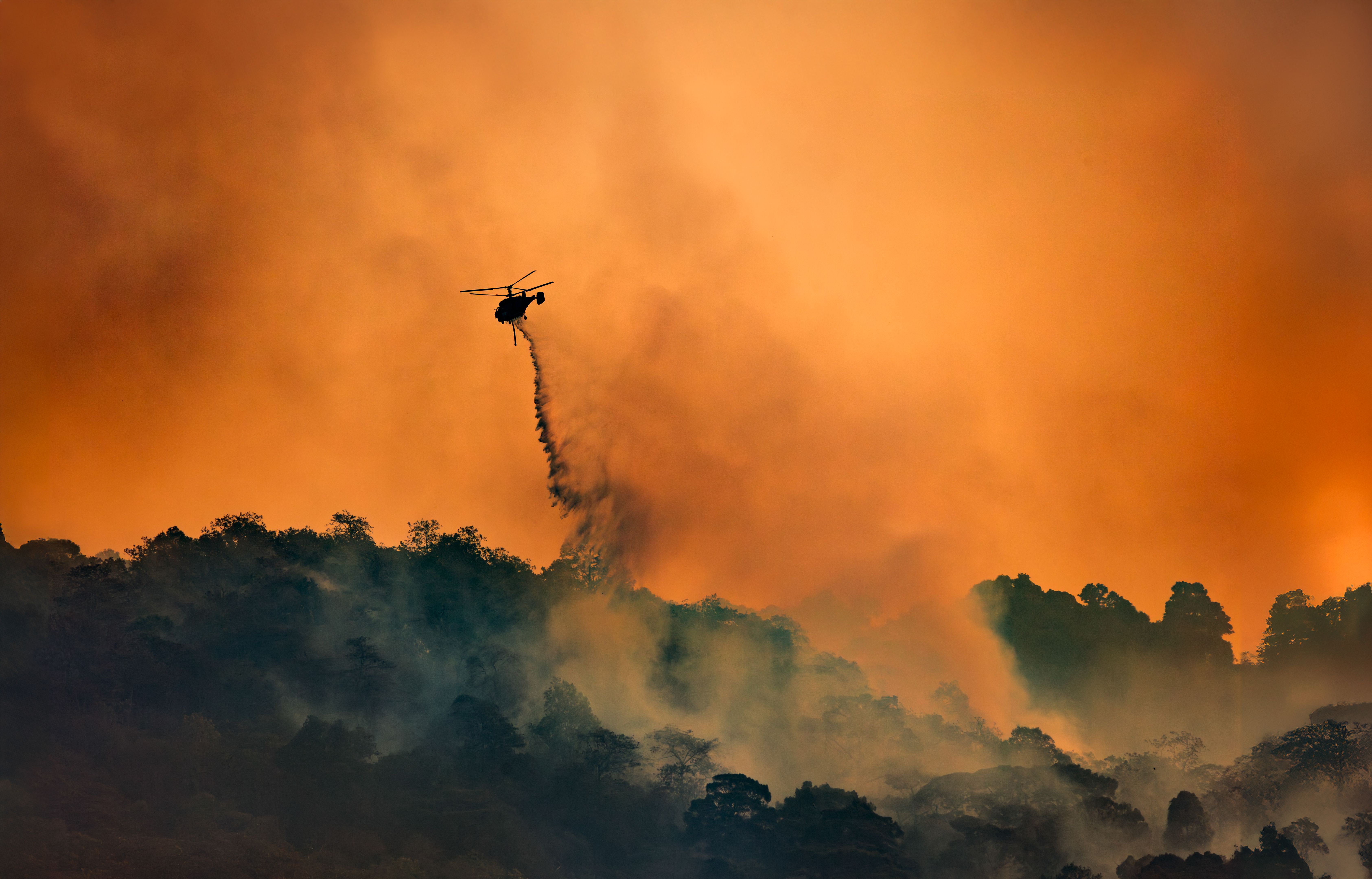 california wildfire