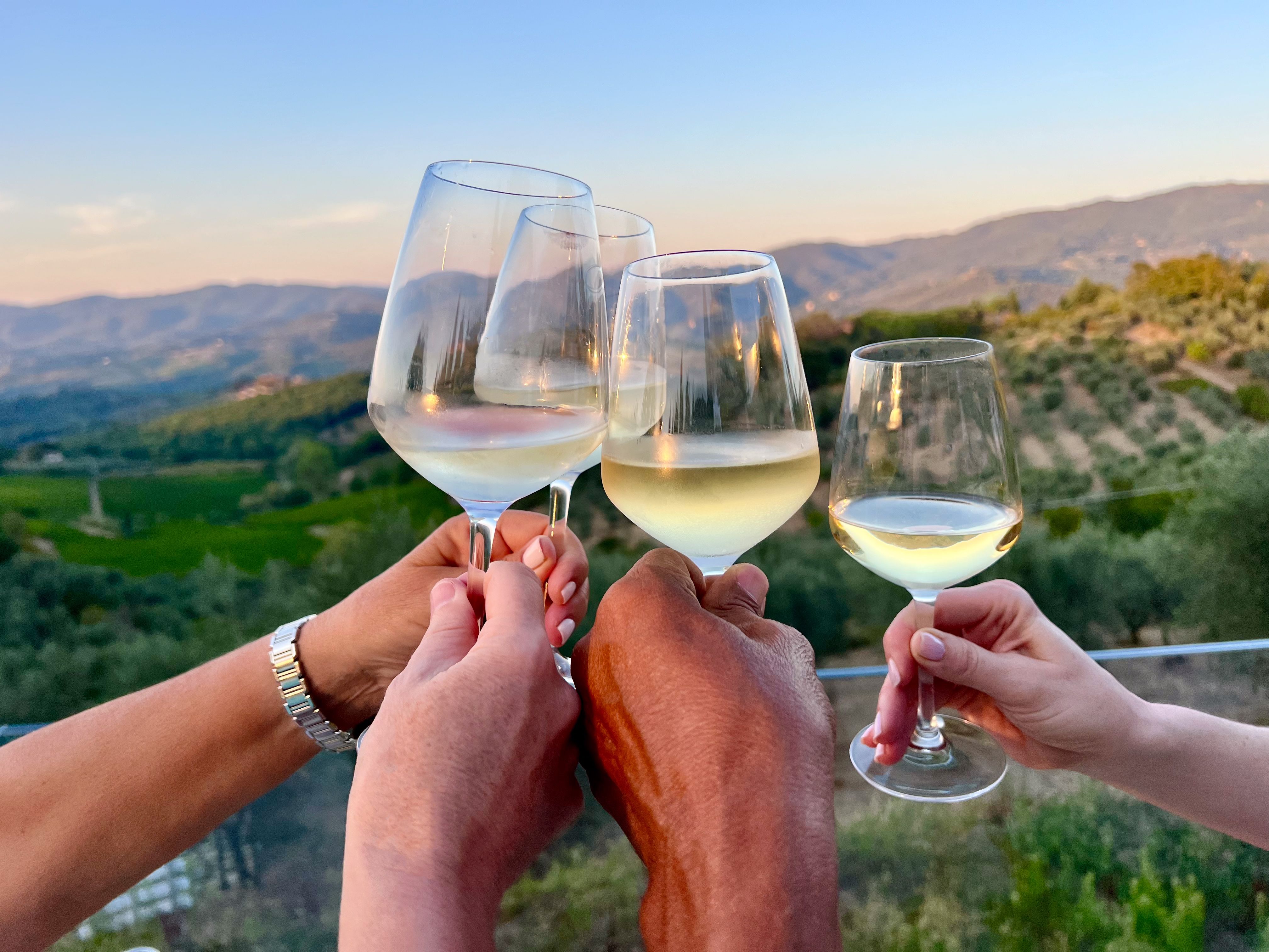 Group of people making a celebratory toast with Tuscany hills and vineyards in the background.