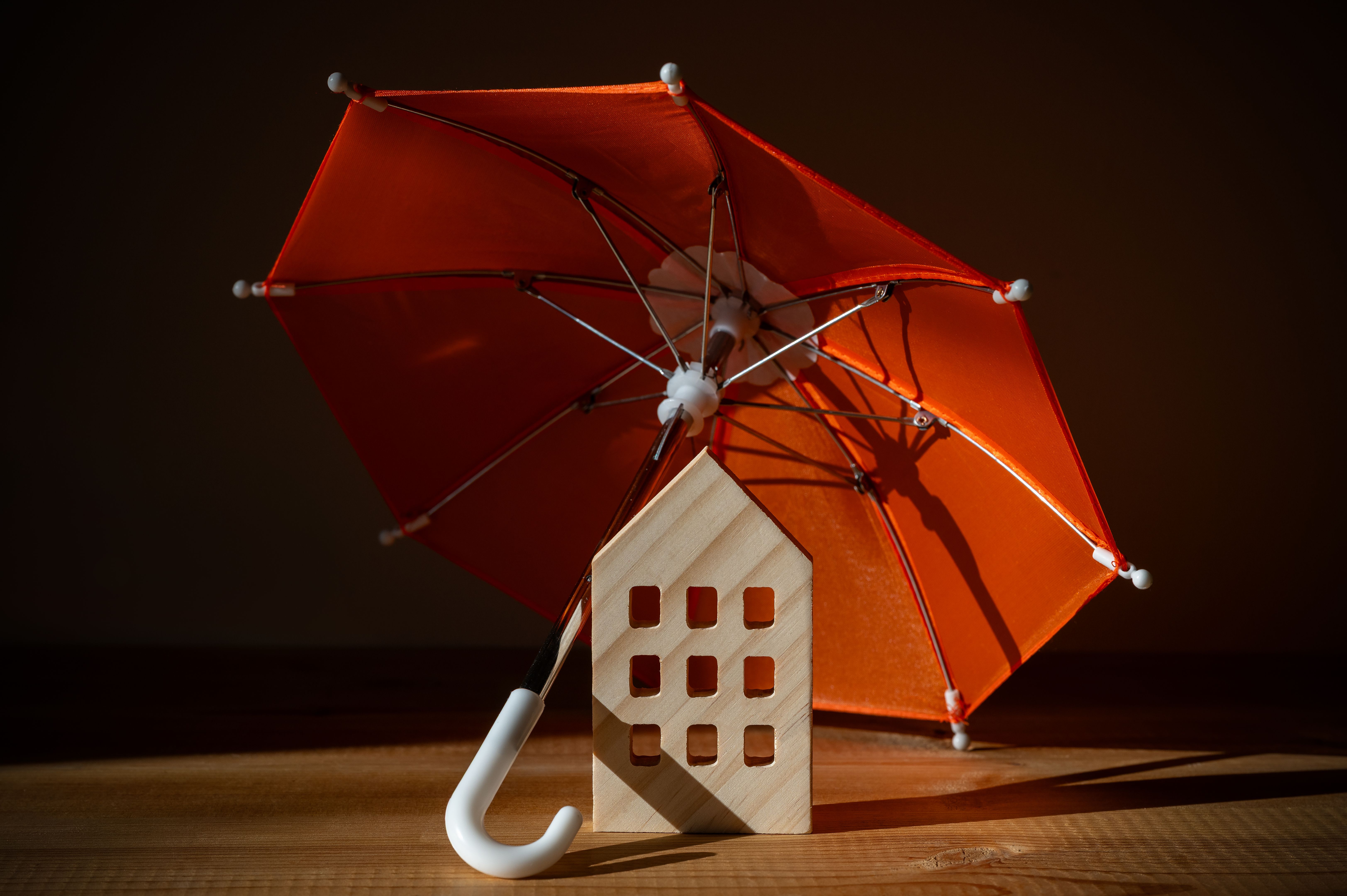 seasonal home protection