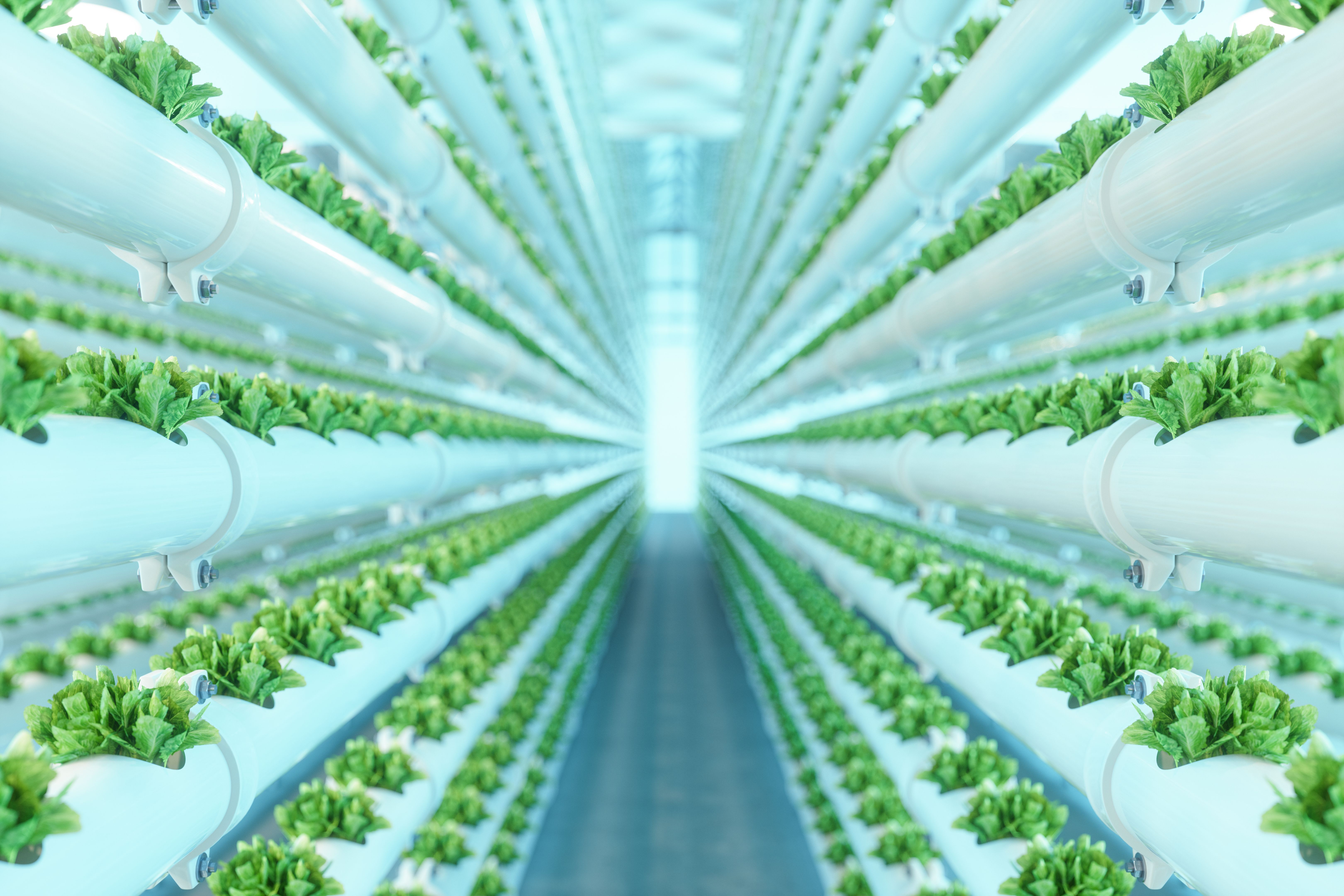 vertical farming