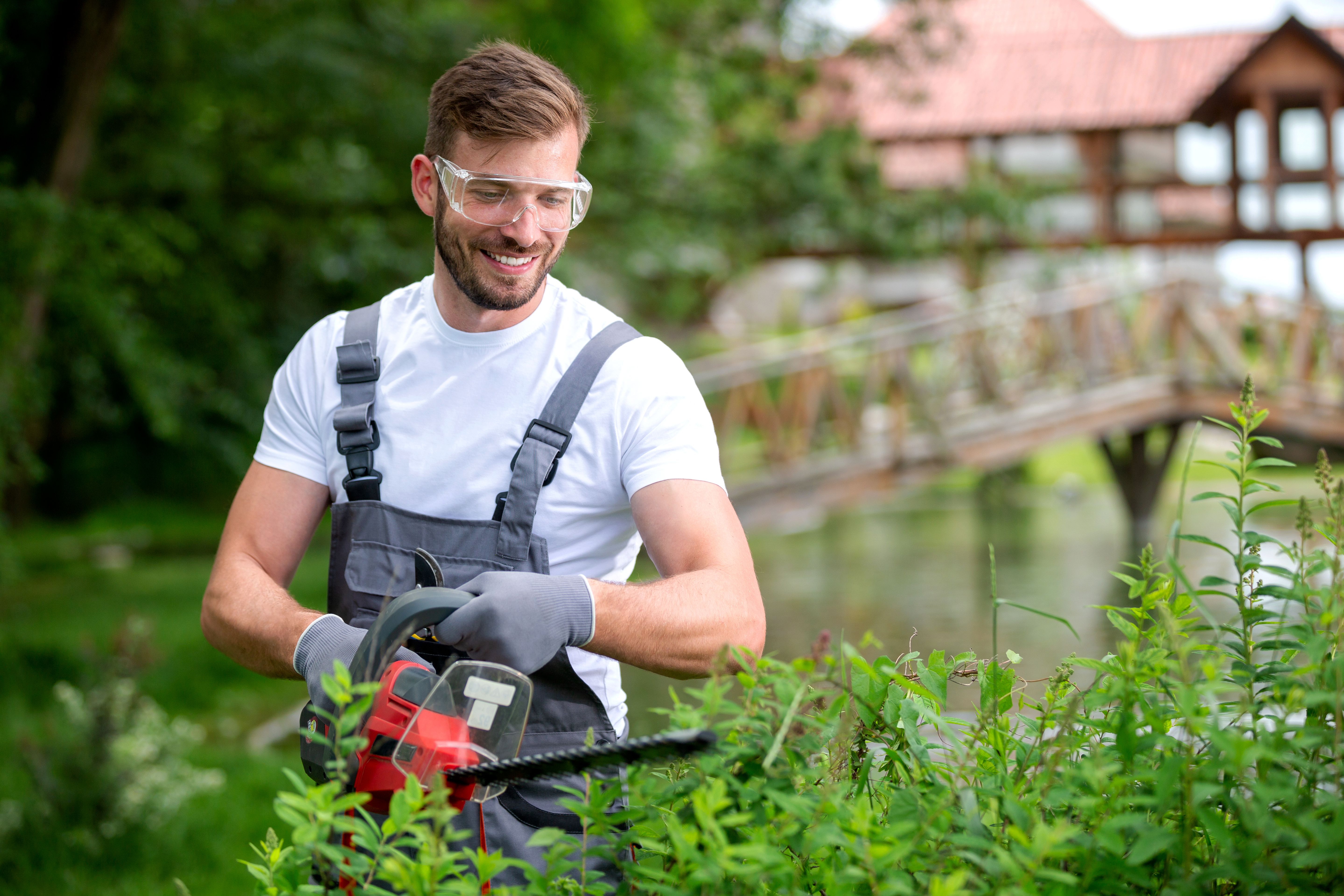 professional lawn care
