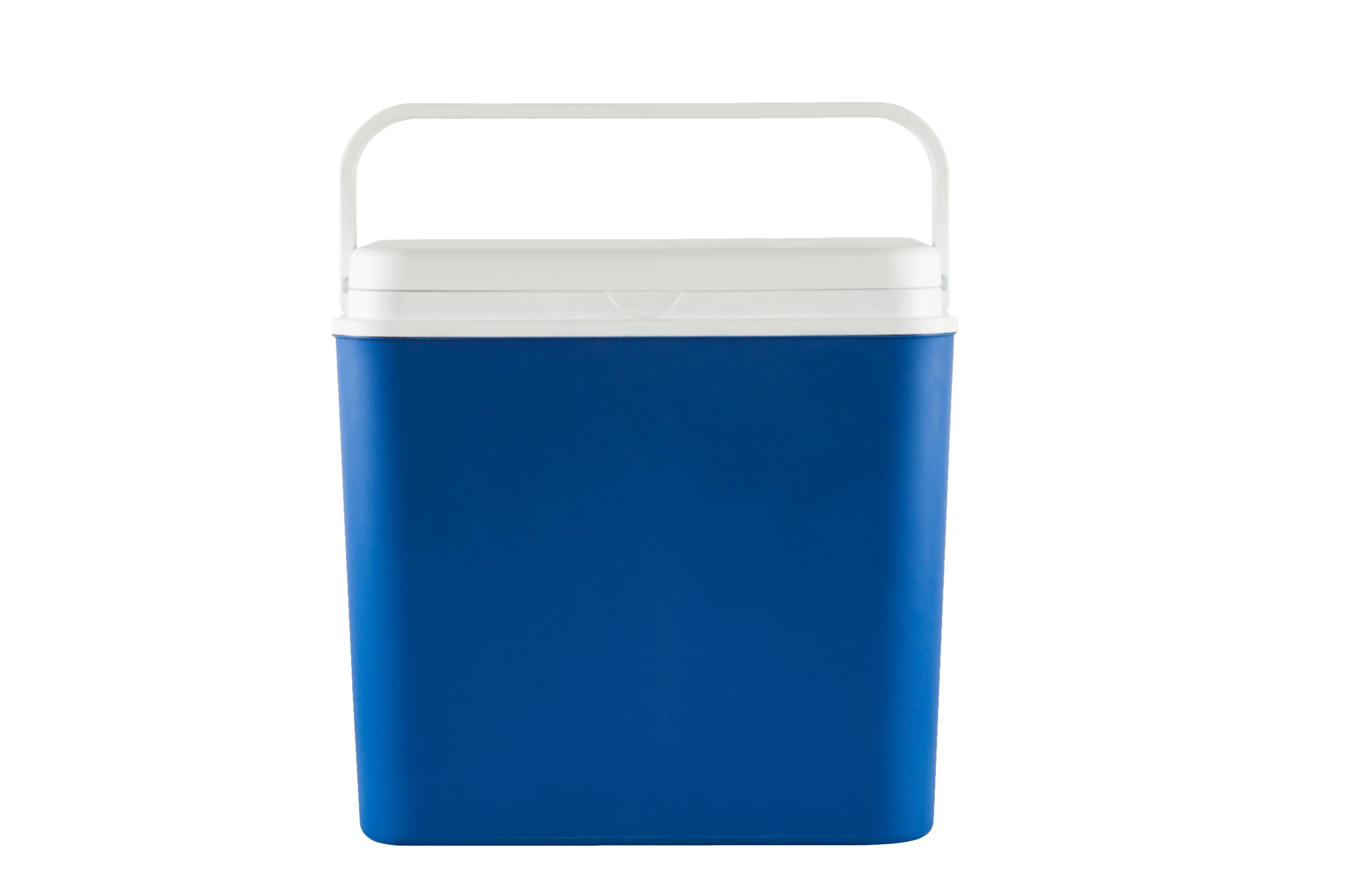 insulated food bag