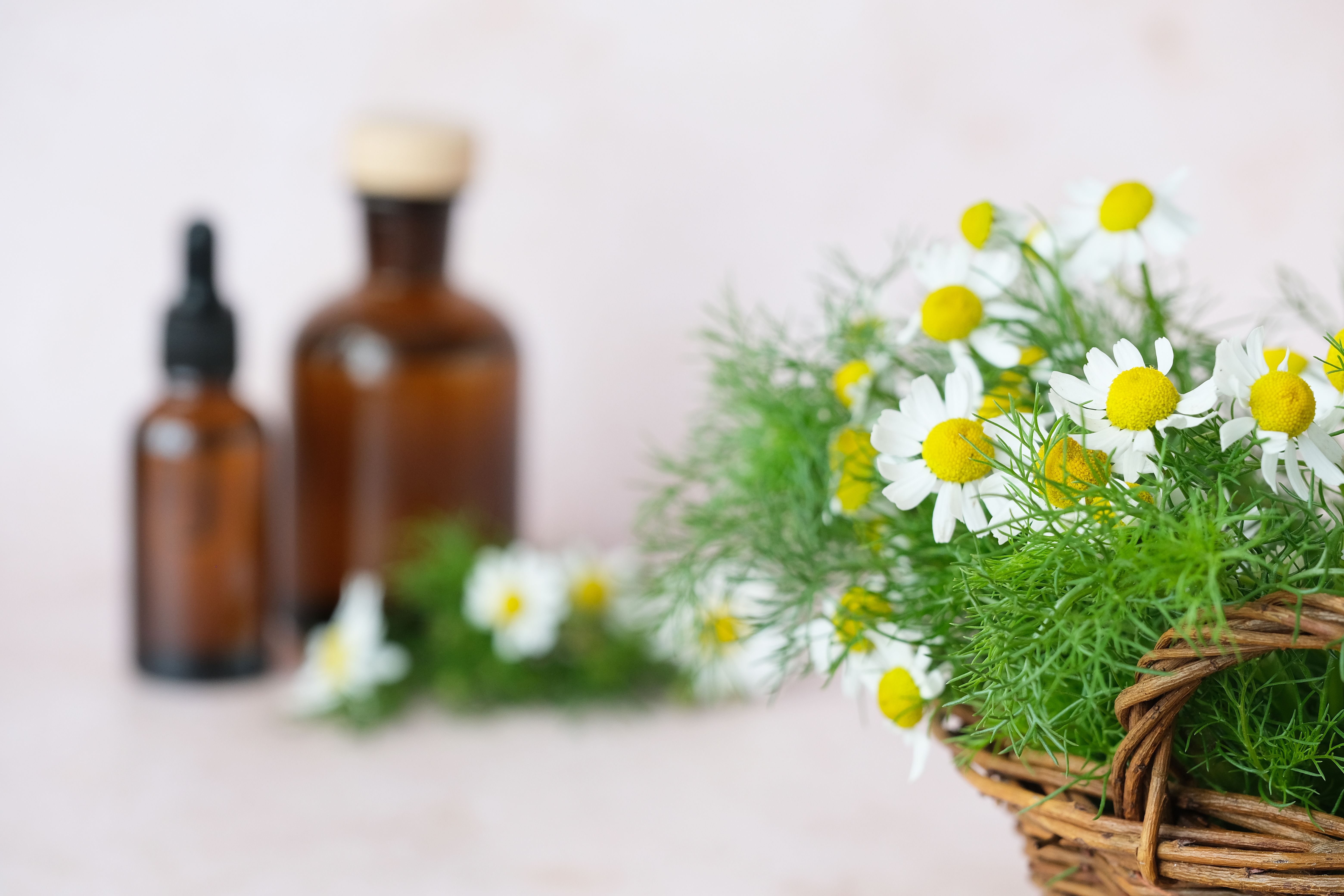 homeopathy remedies
