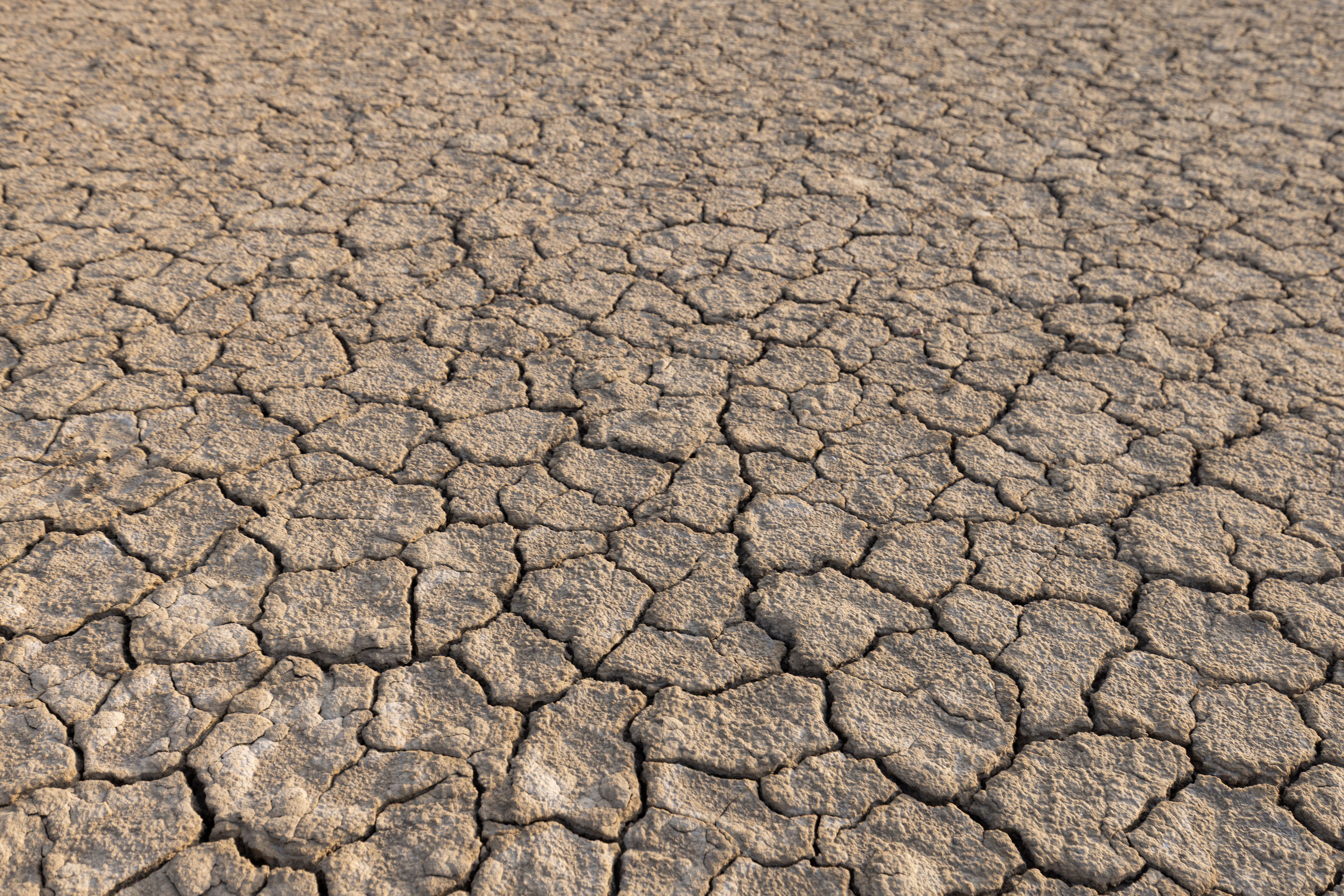 climate change effects