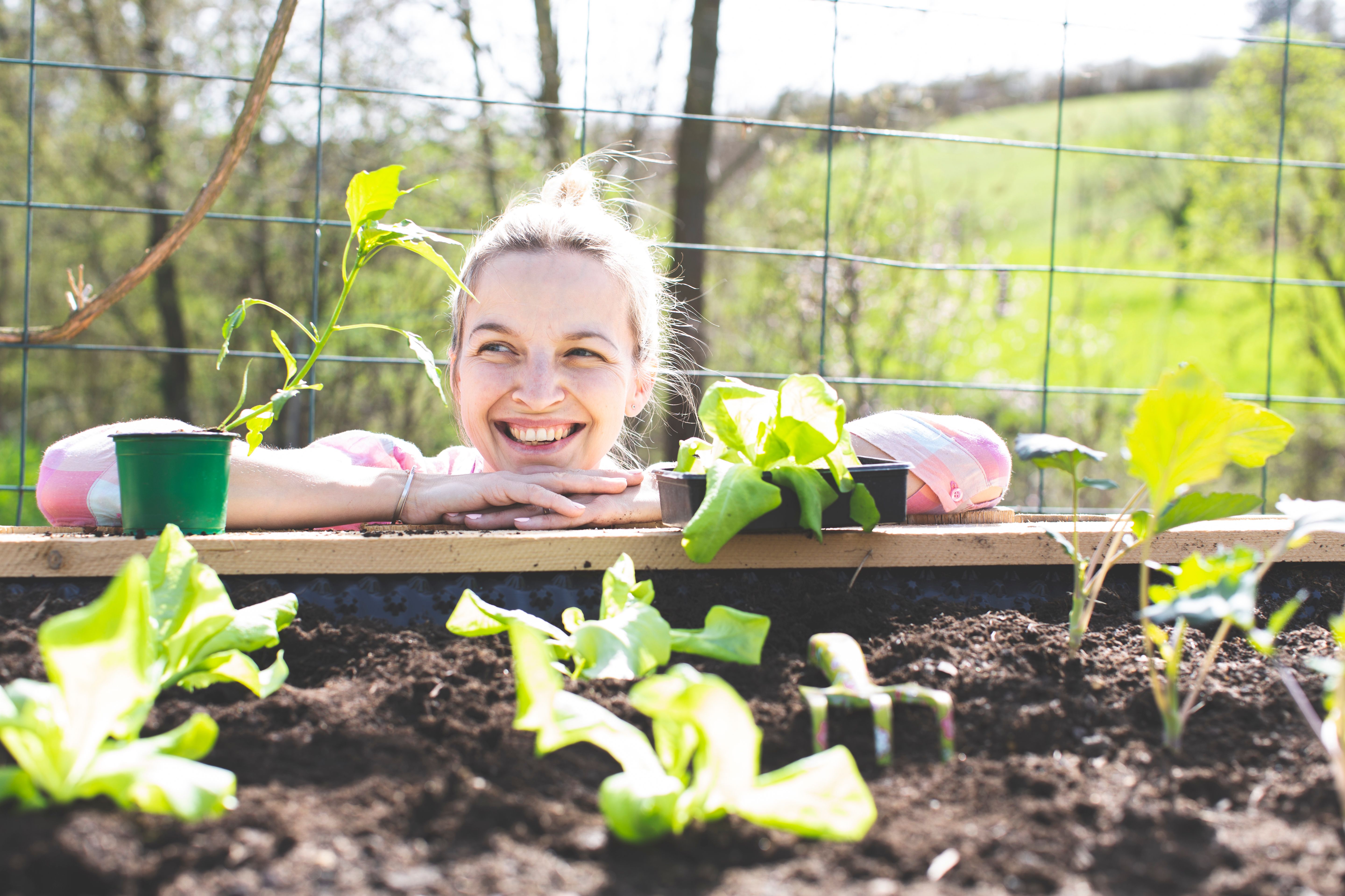 vegetable garden