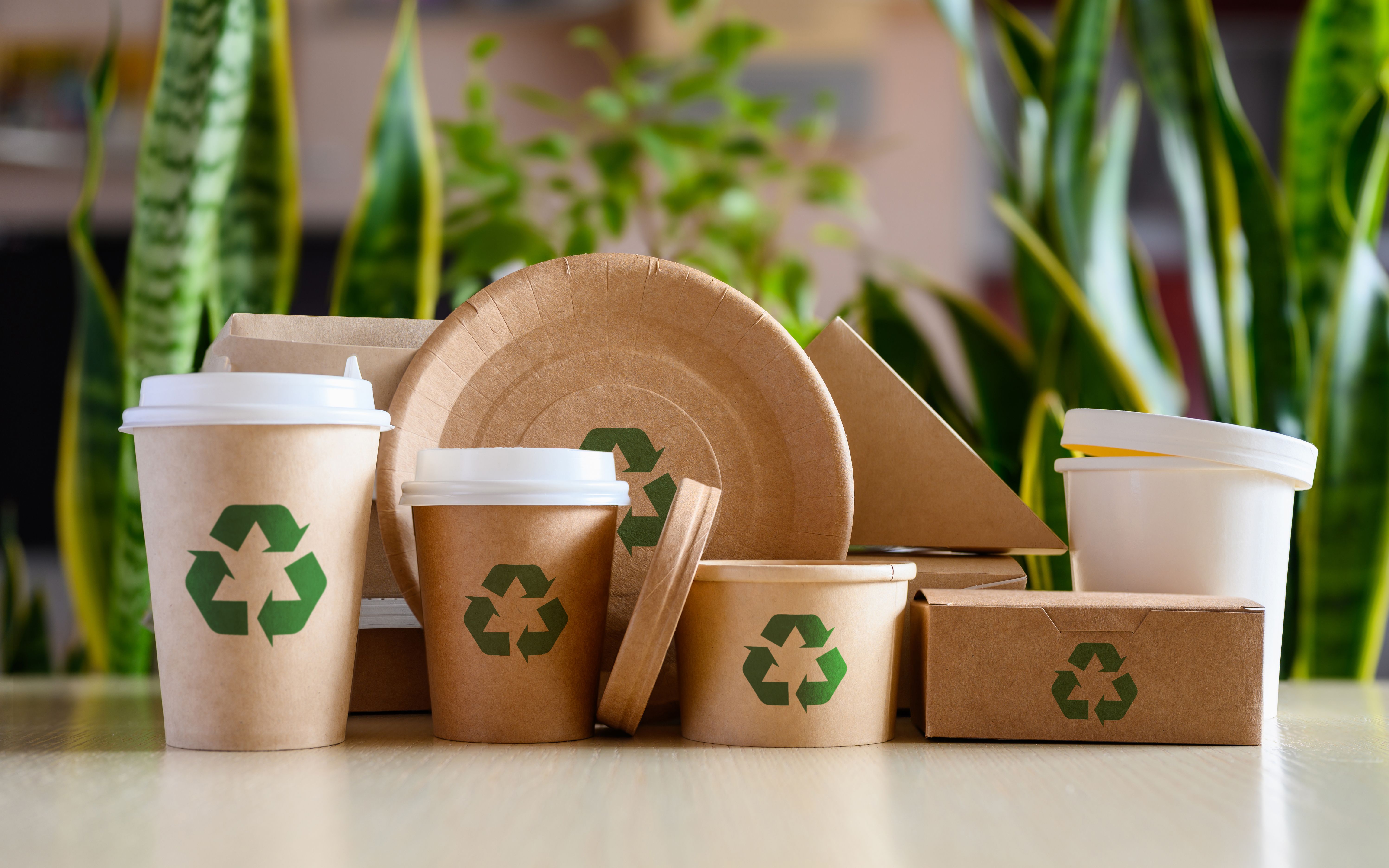 eco-friendly materials