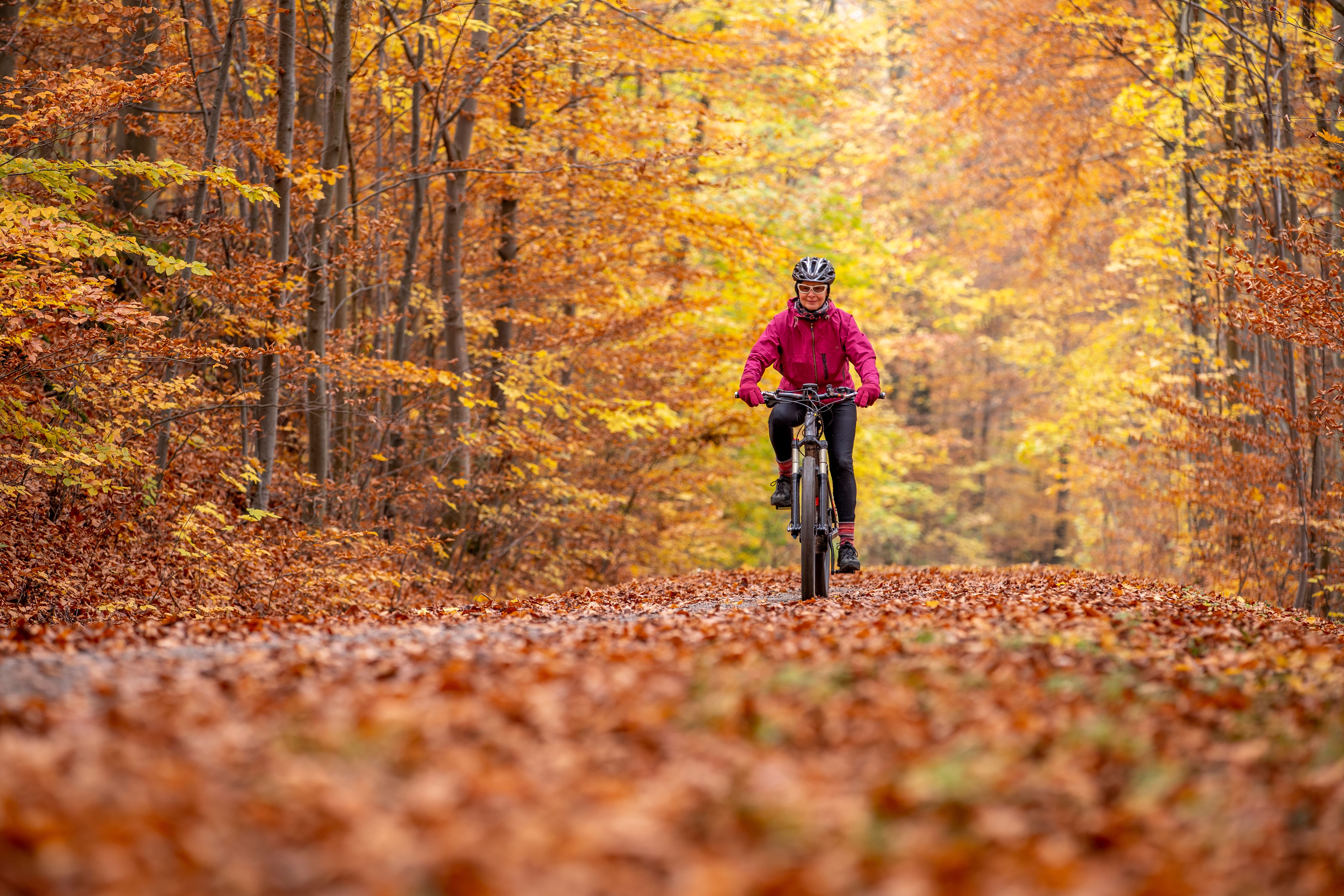 autumn cycling