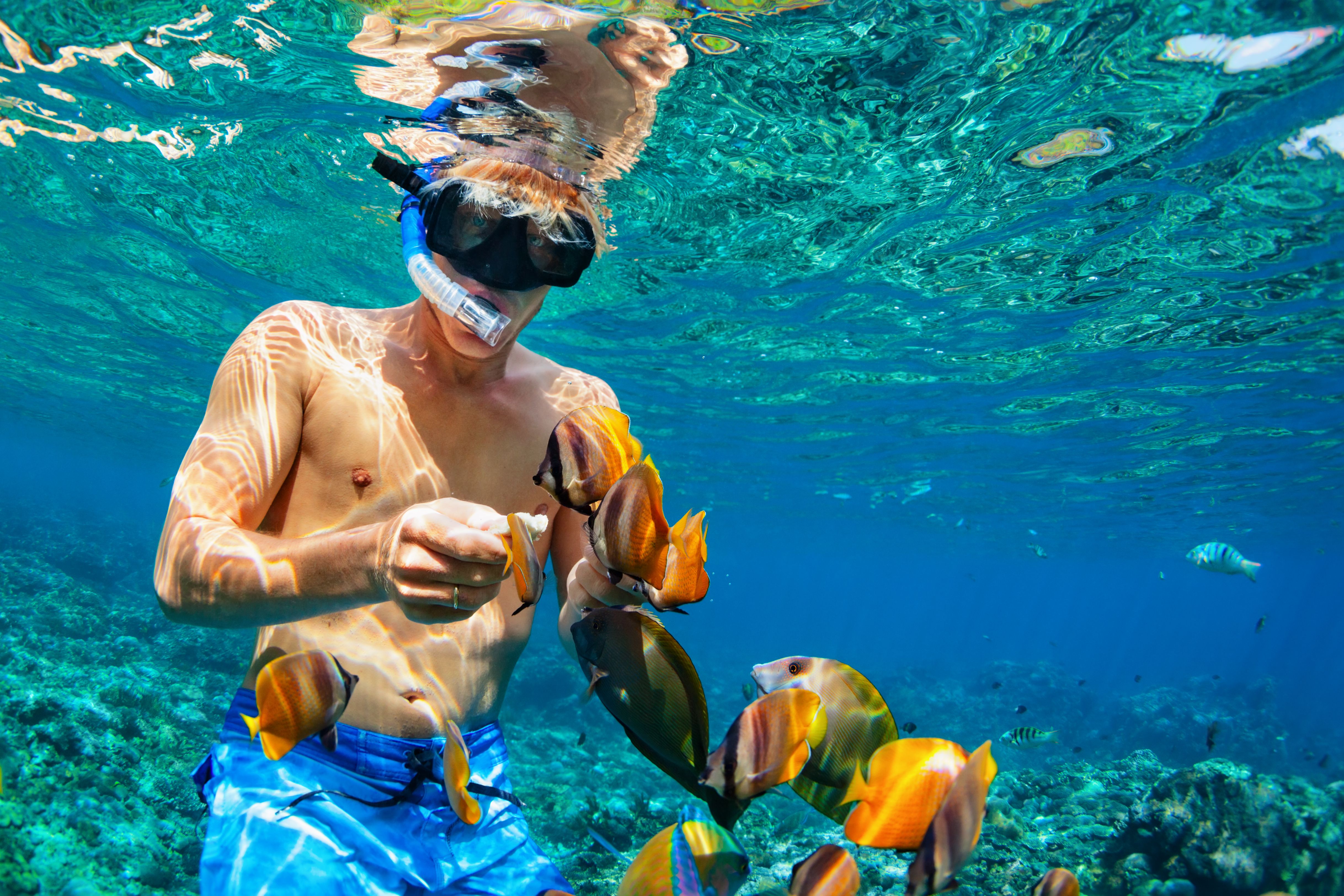 snorkeling tour