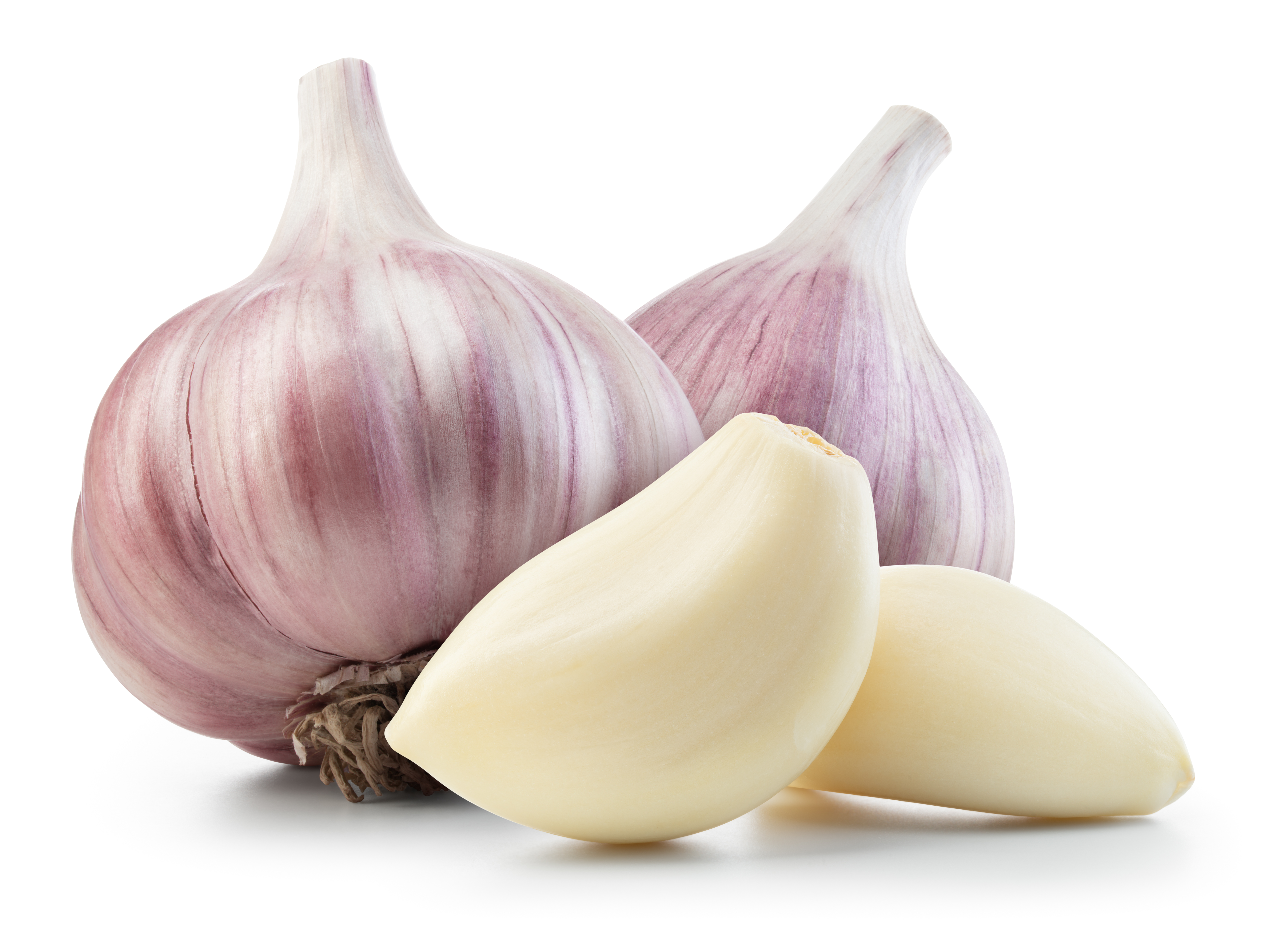 Garlic bulb and clove isolated. Garlic bulbs with cloves on white background. Garlic bulb composition. With clipping path. Full depth of field.