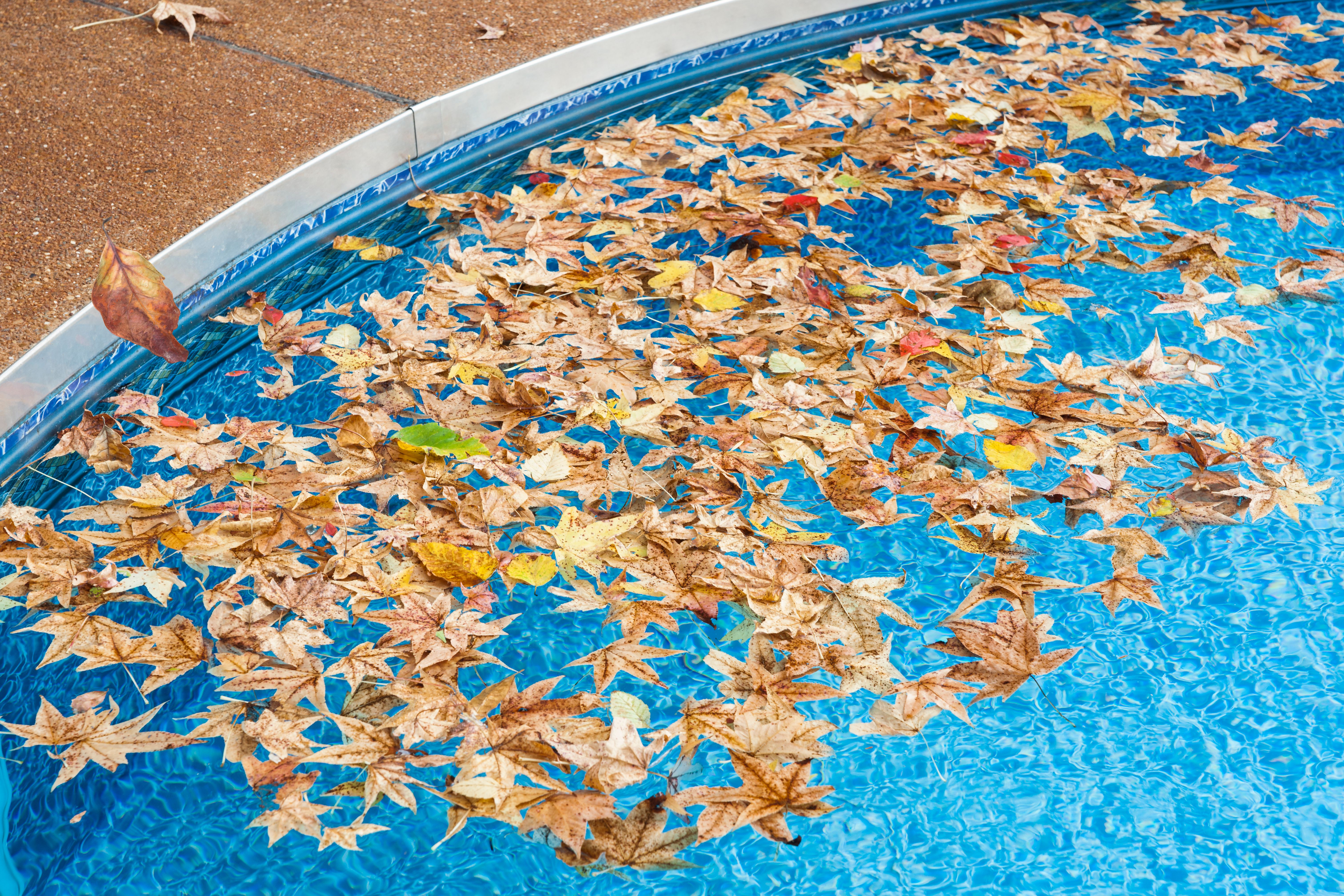 seasonal pool care