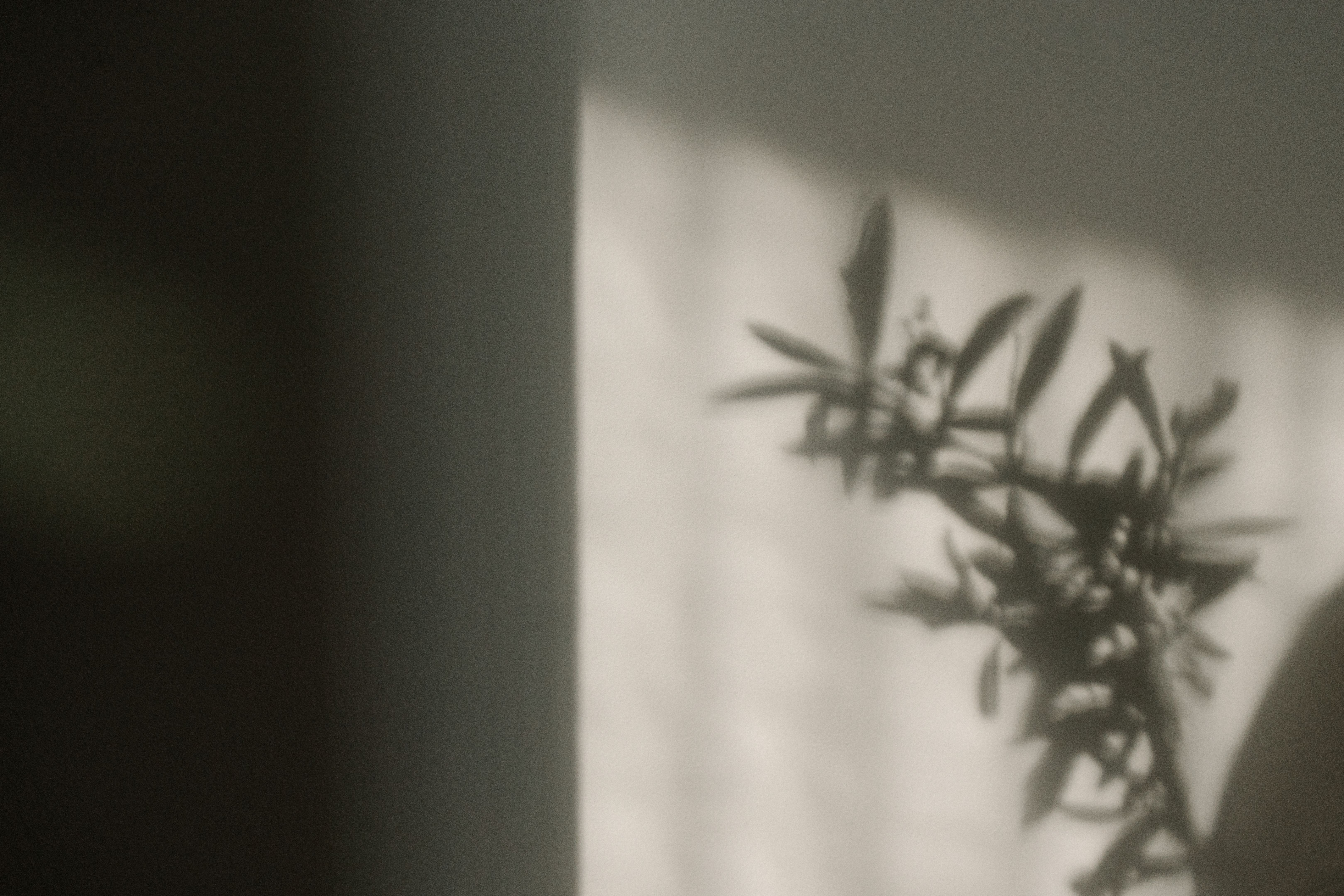 light shadow photography