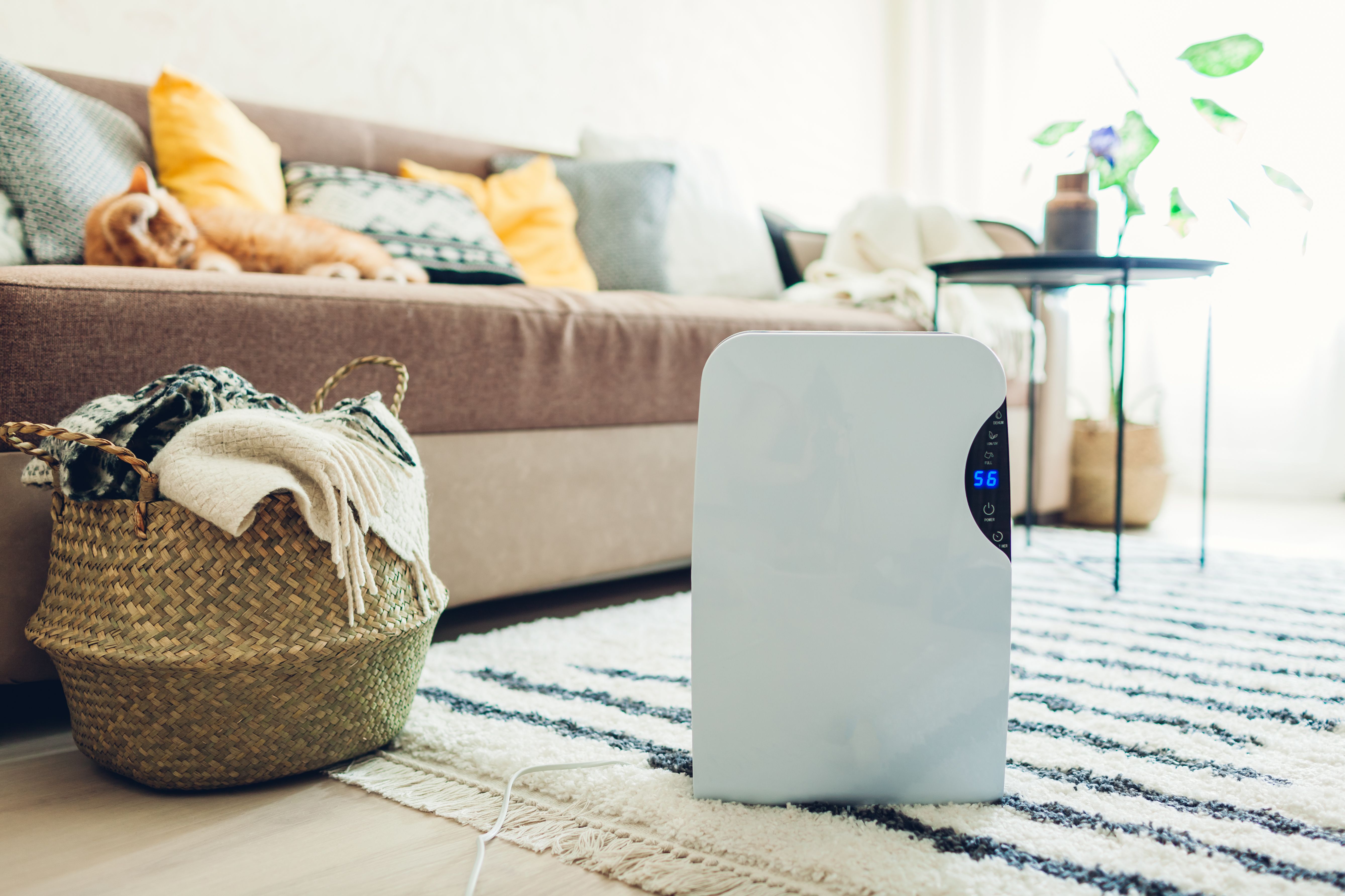 dehumidifier in room