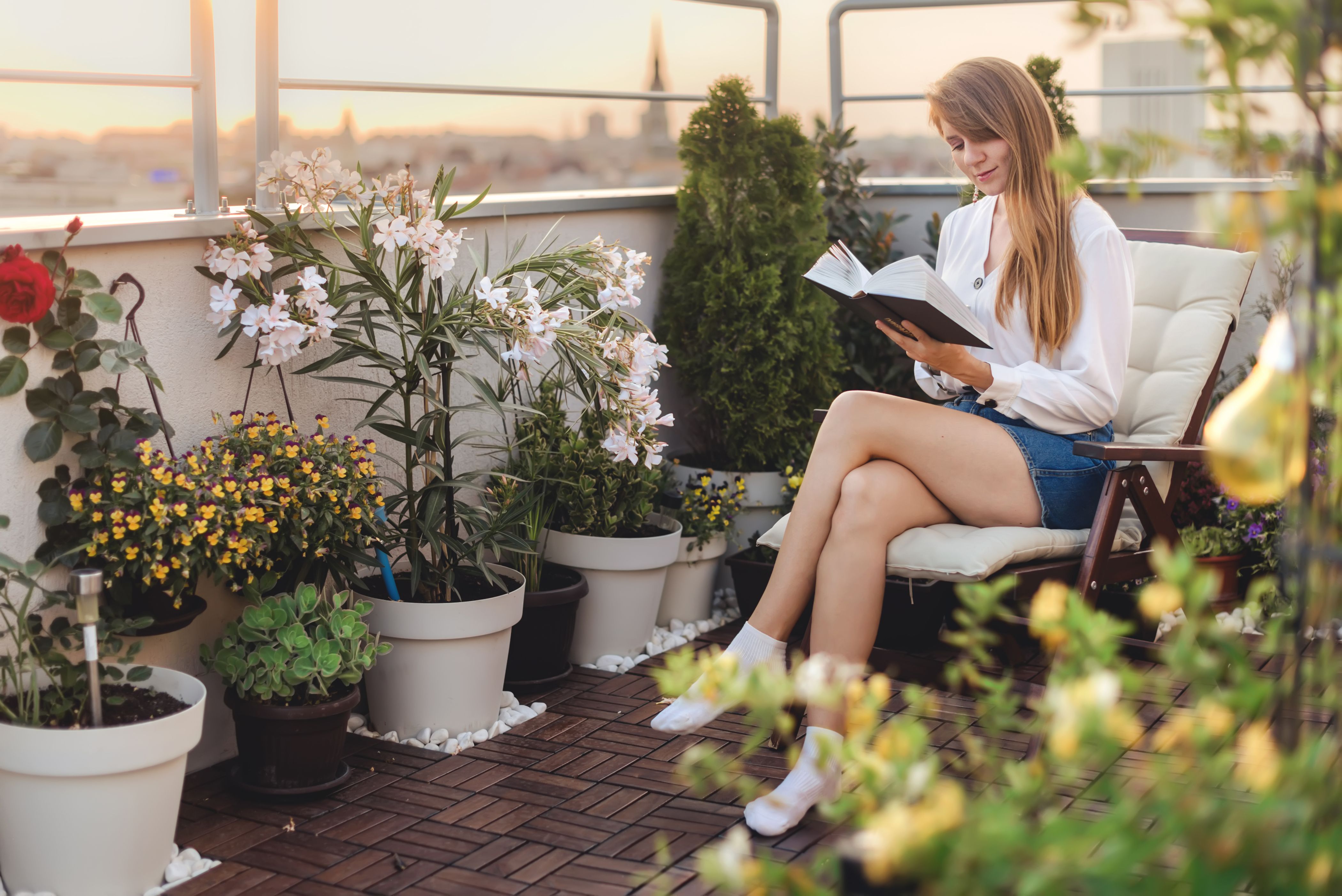 rooftop garden