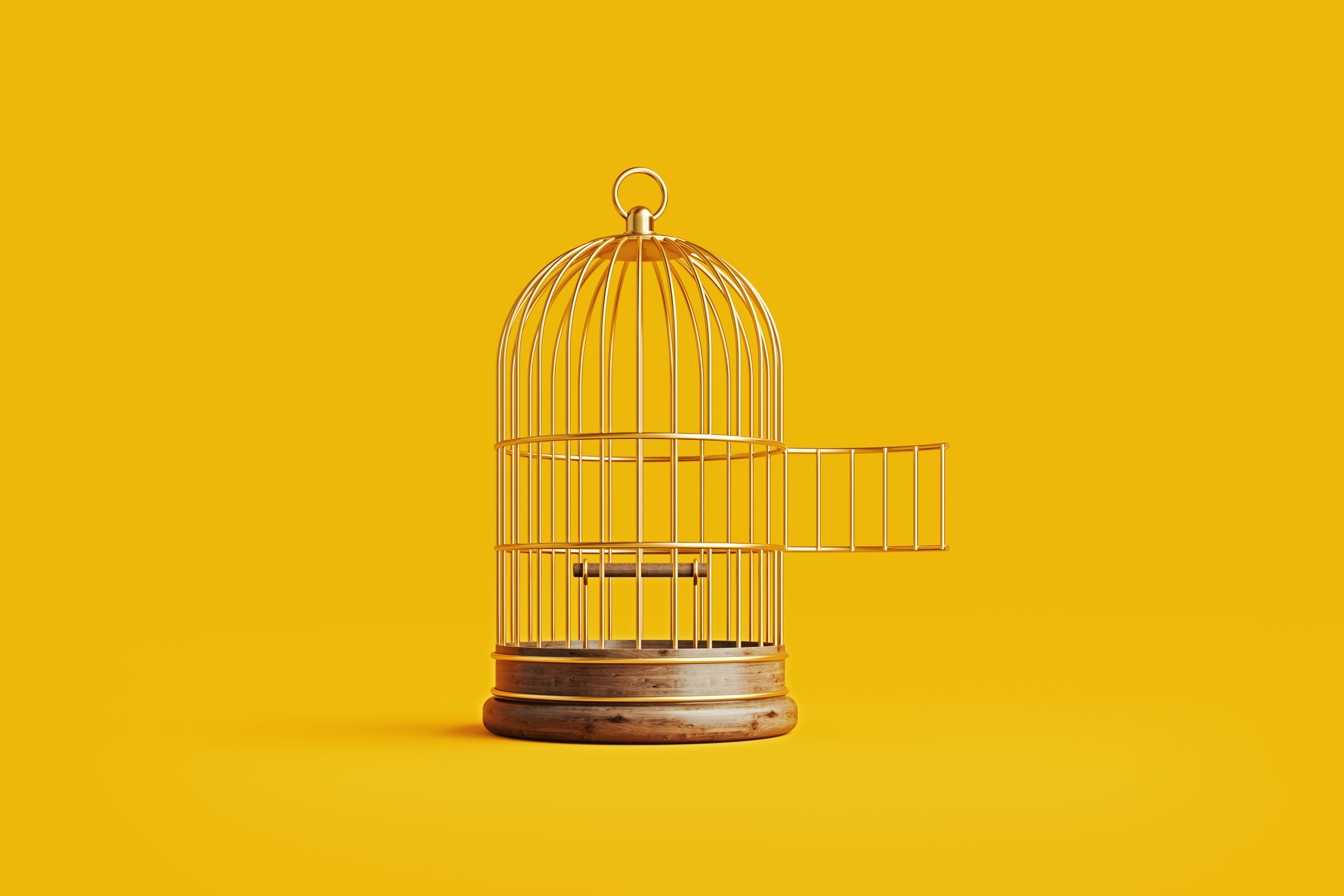 bird cage