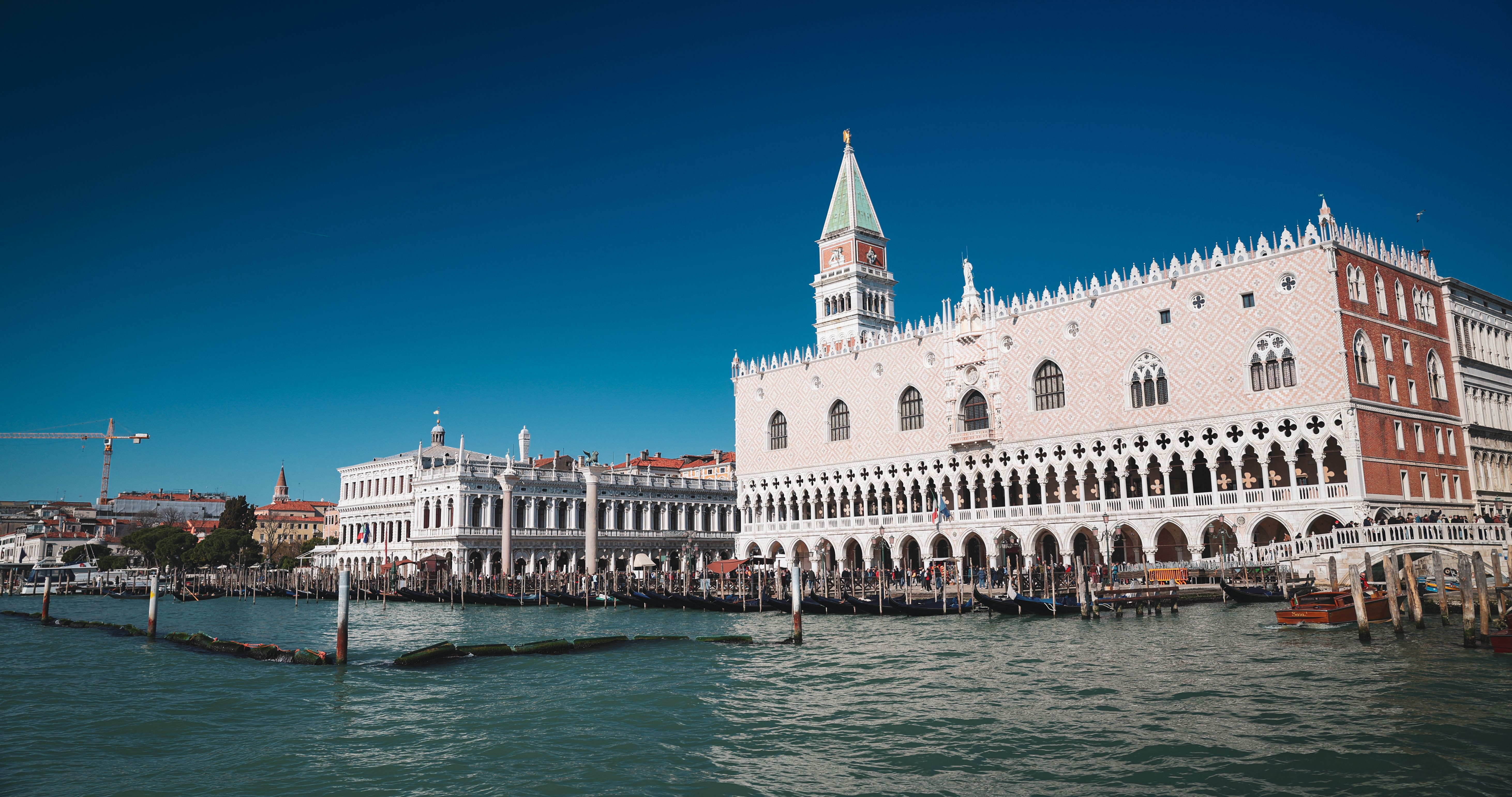 corporate photography venice