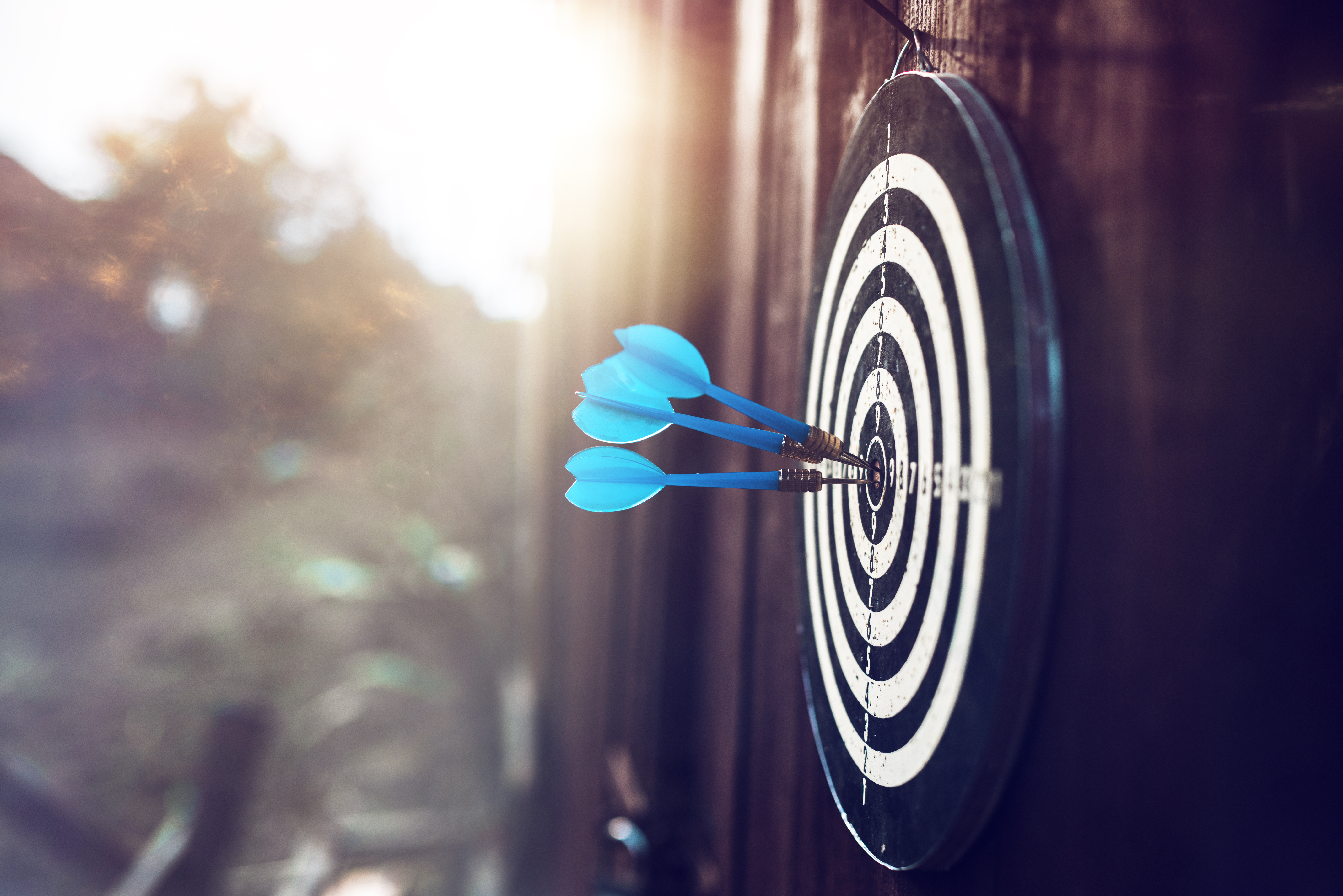 darts board at sunset