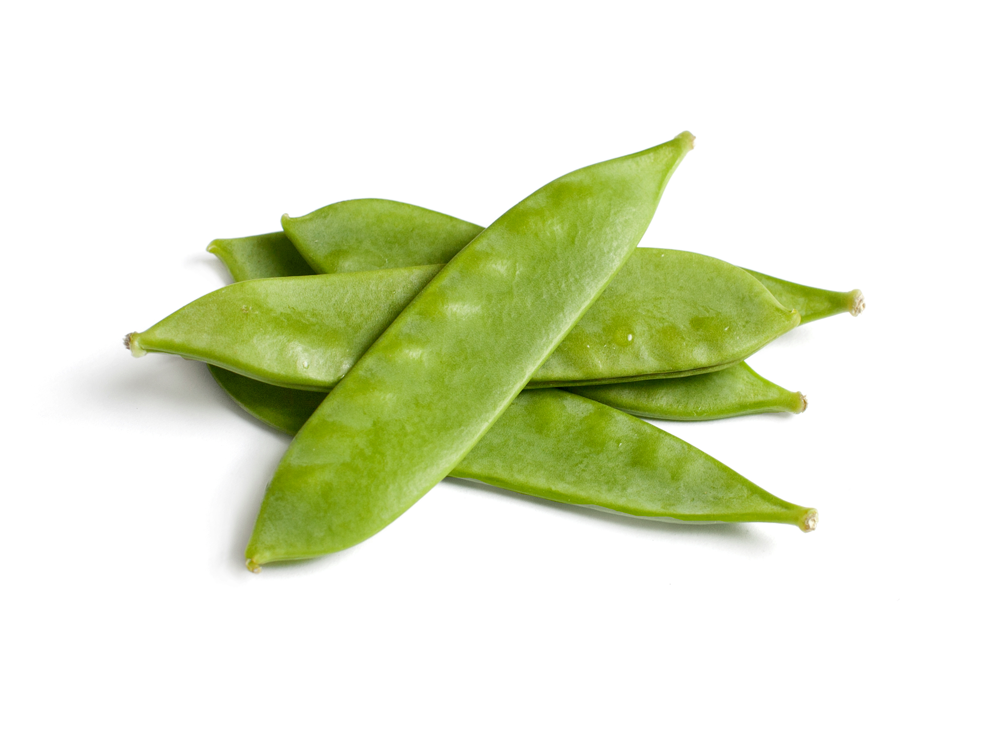 Fresh snow peas in a pile on white background Fresh snow peas in a pile on white background